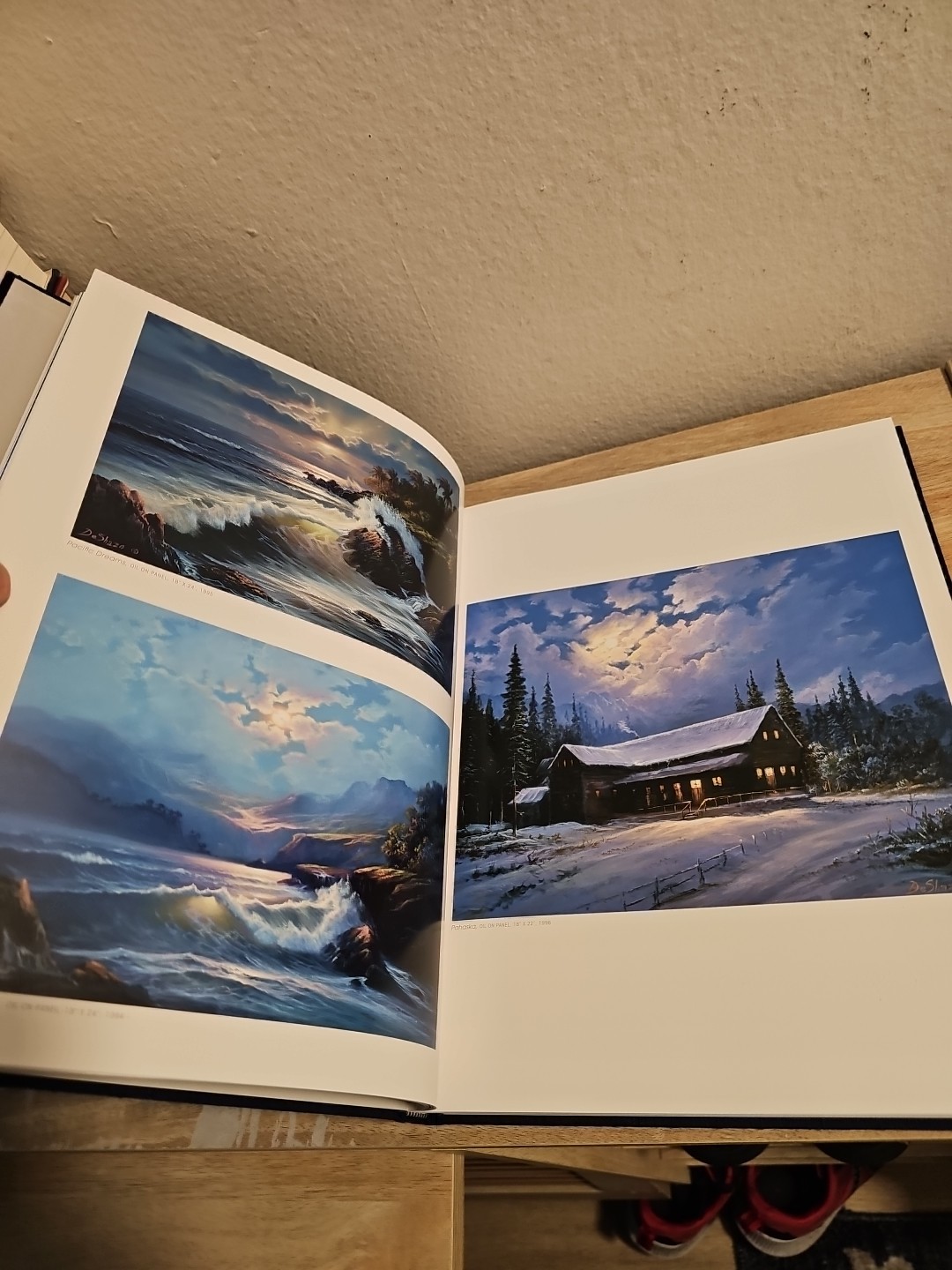 America’s Artists The Artists Of Wyland Galleries Book Limited Edition 968/1500