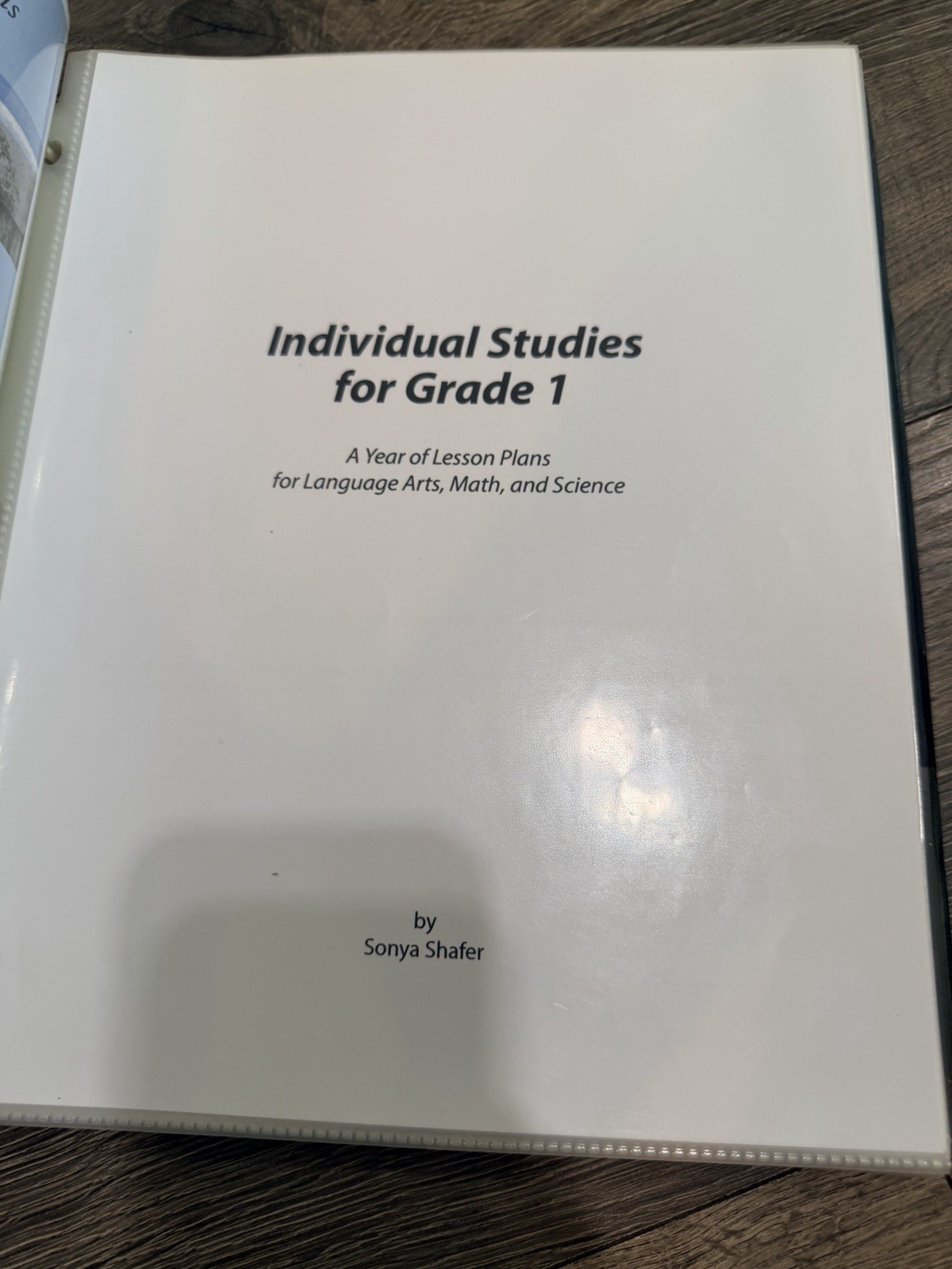 Early Years and Individual Studies lesson Plans for Grade 1 in folder.
