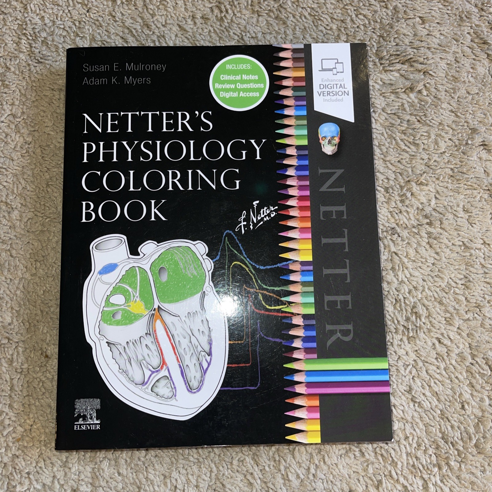 Netter’S Physiology Coloring Book – Paperback (NEW)