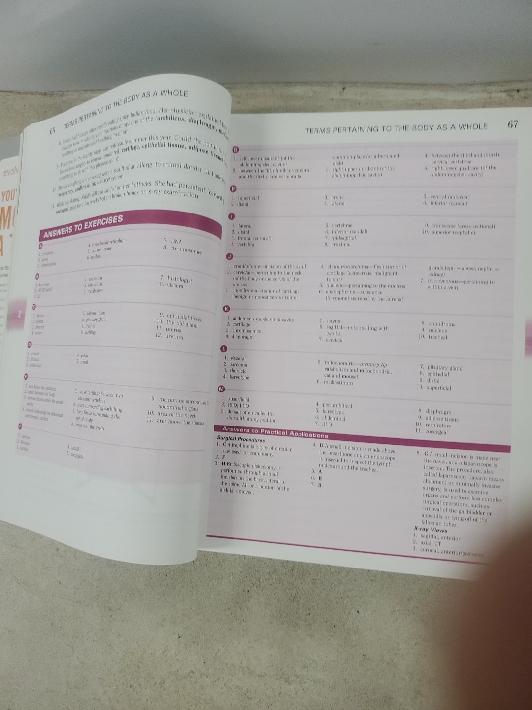 The Language of Medicine by Davi-Ellen Chabner 11th Edition