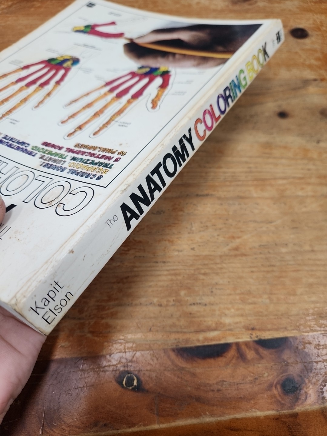 The Anatomy Coloring Book, Kapit, Wynn; Elson, Lawrence