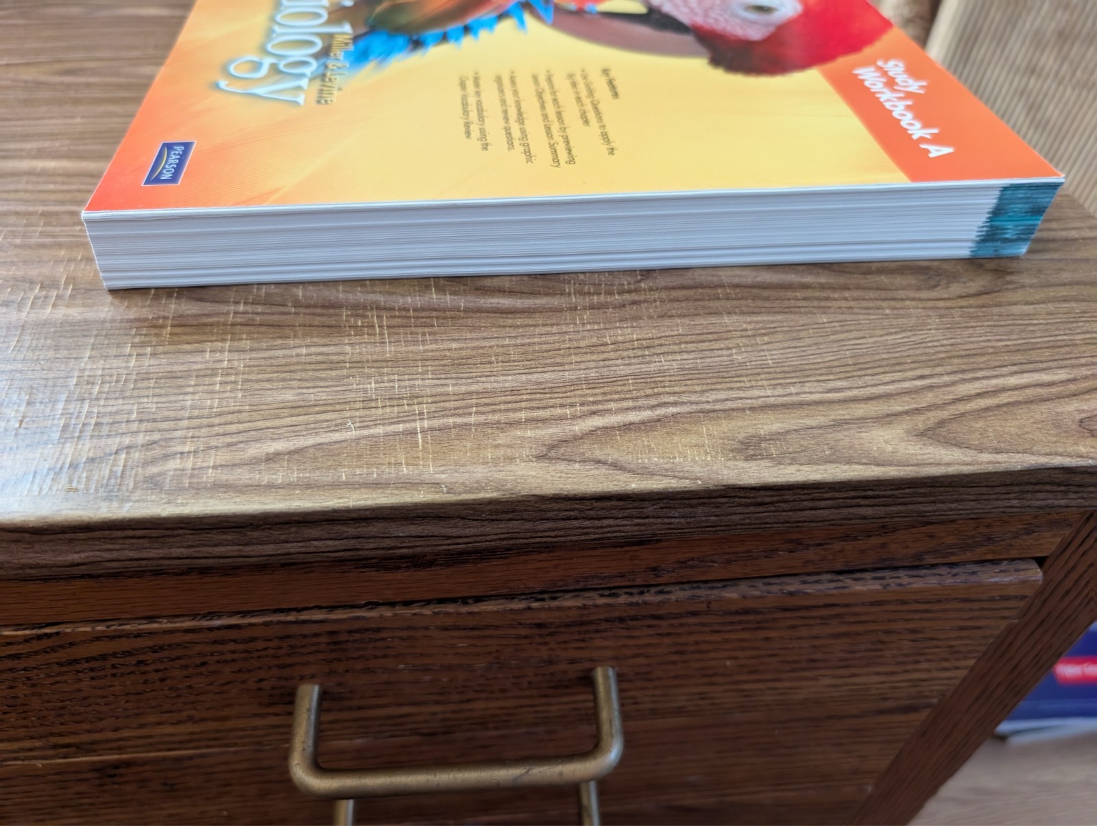 MILLER LEVINE BIOLOGY 2010 STUDY WORKBOOK A GRADE 9/10 – Paperback