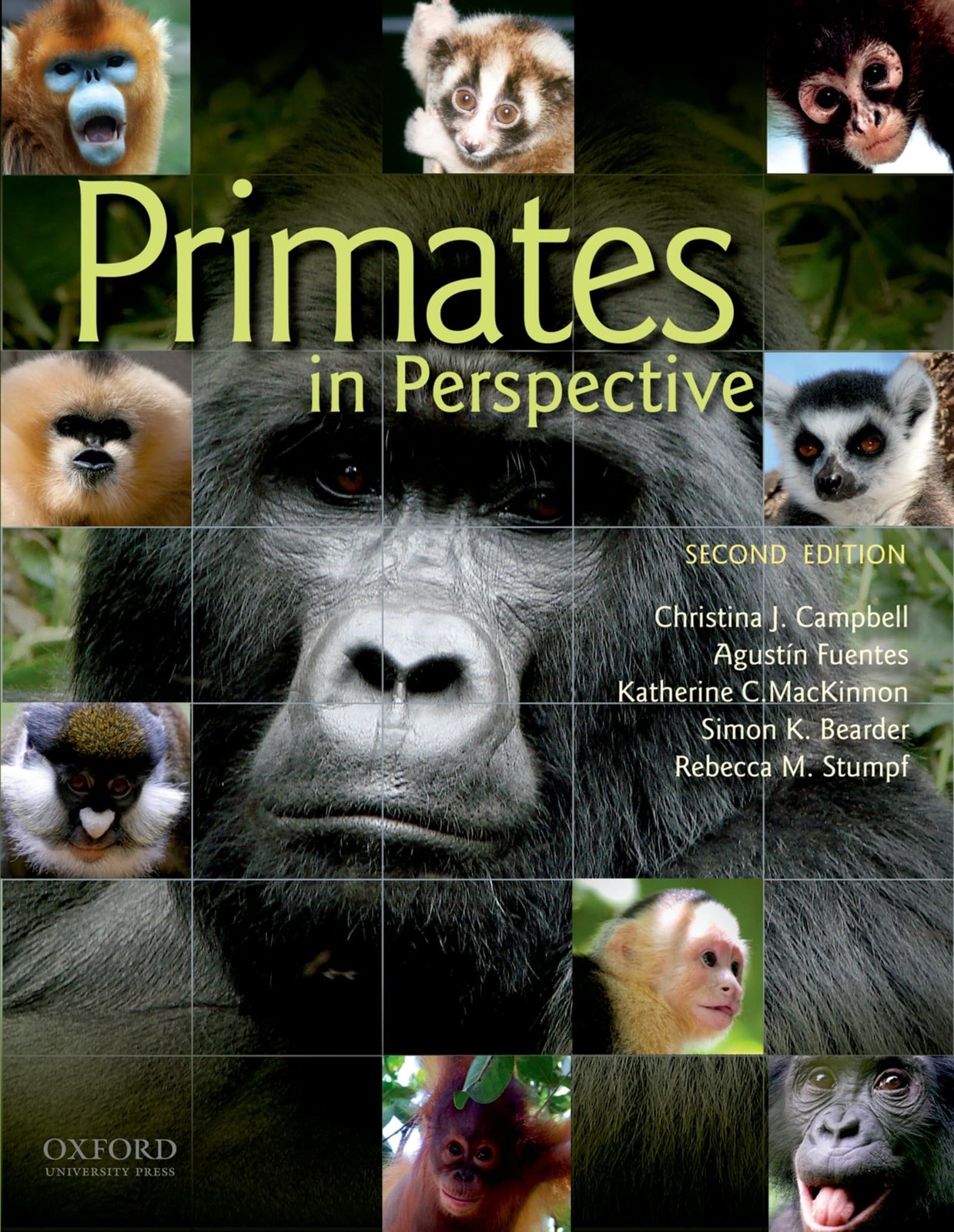 Primates in Perspective – paperback Campbell, Christina|Fuentes, Agustin|Mac…