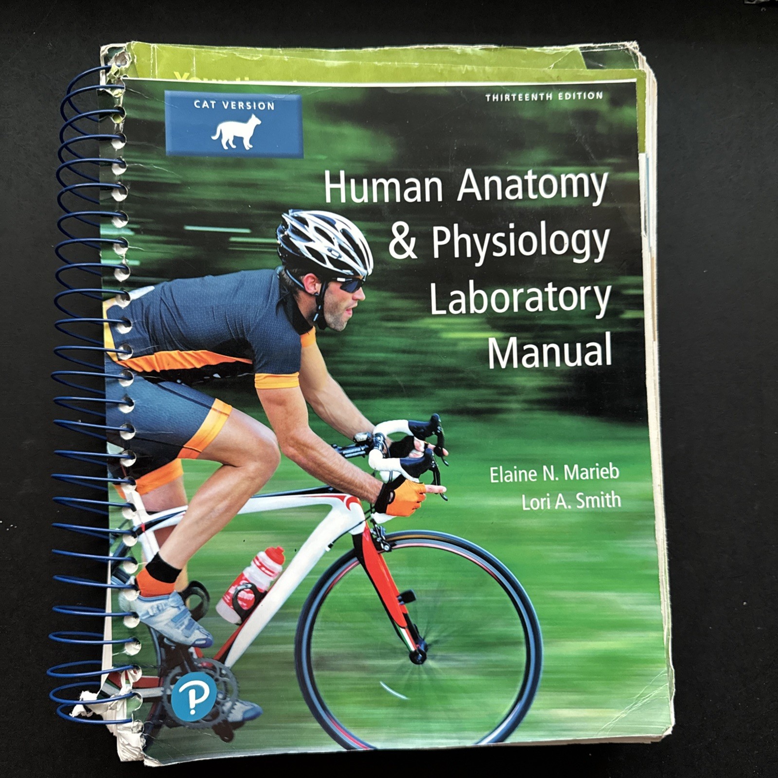 Human Anatomy and Physiology Laboratory Manual, Cat Version by Lori Smith and…