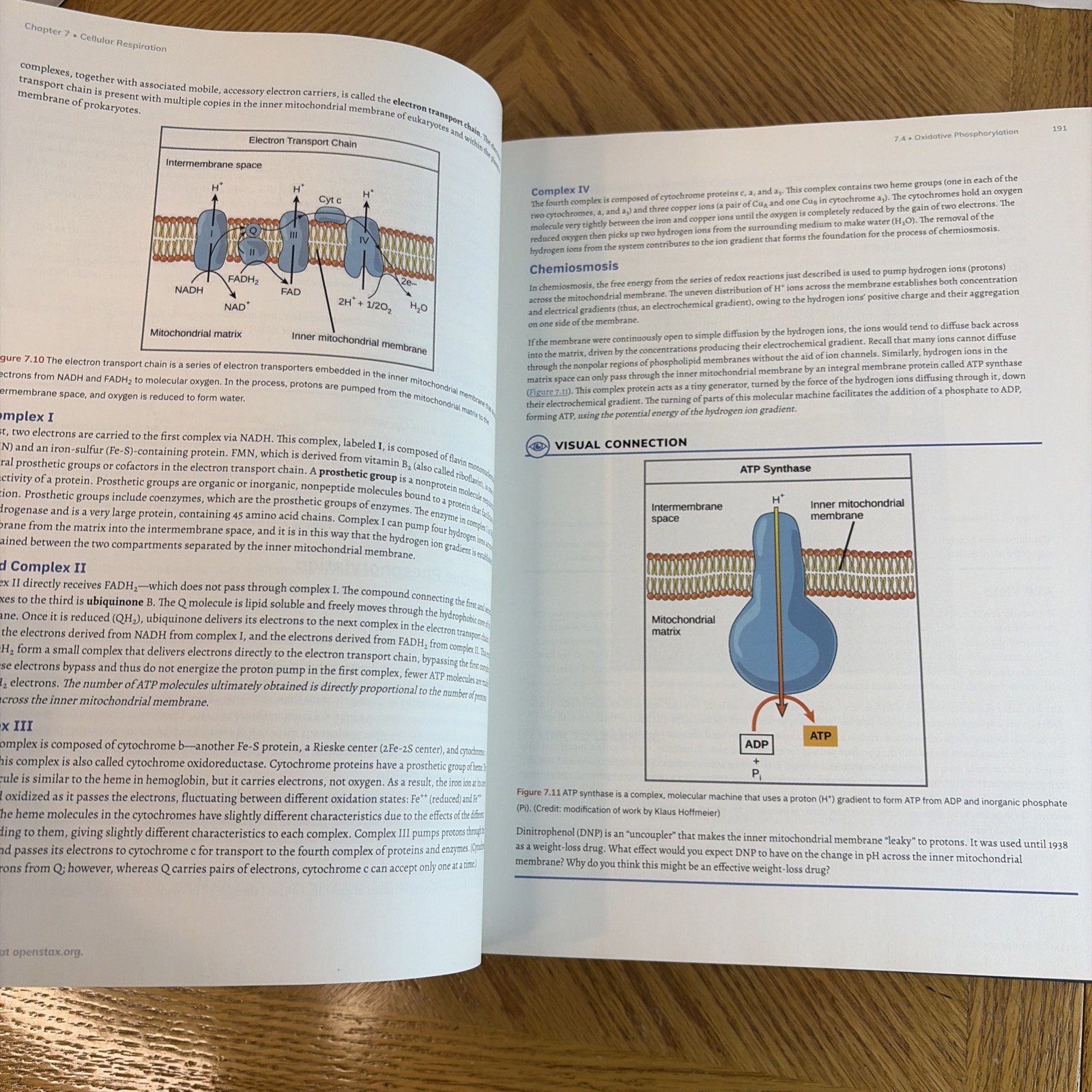 Biology 2e by OpenStax (Hardcover-full color) Clark, Choi, Douglas