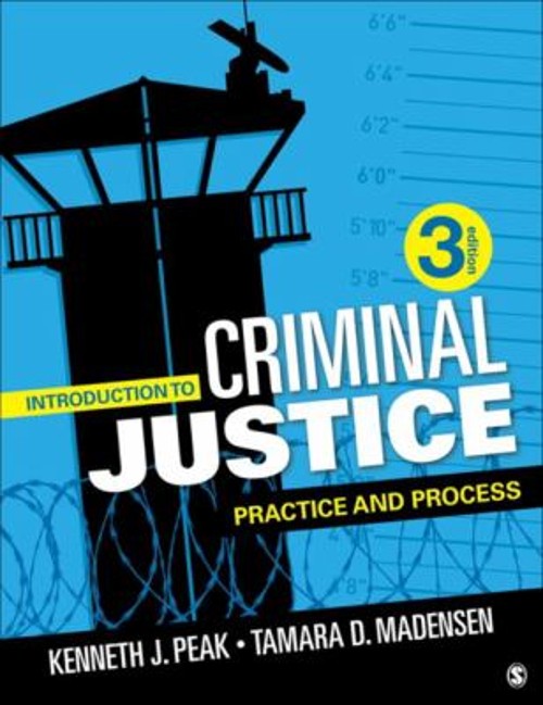 Introduction to Criminal Justice : Practice and Process Paperback