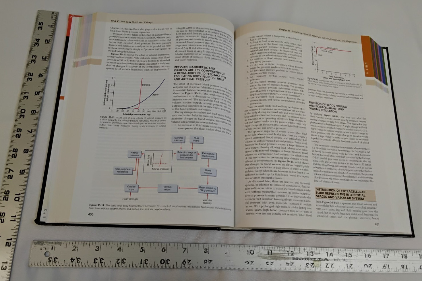 Guyton and Hall Textbook of Medical Physiology 13th Edition John E. Hall #B1163