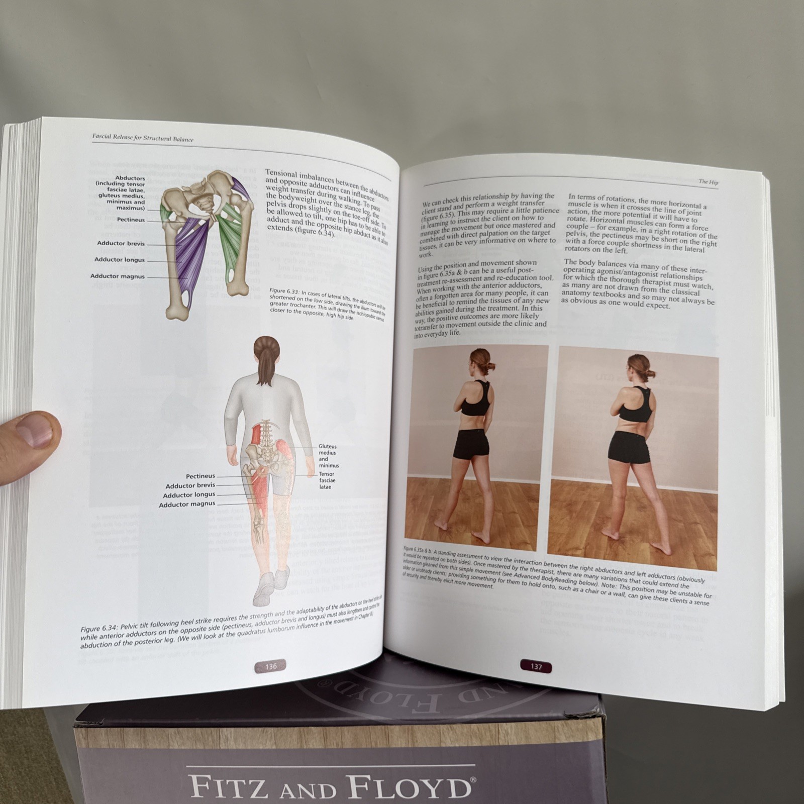 Softcover color book «Fascial Release for Structural Balance» T. Myers J. Earls