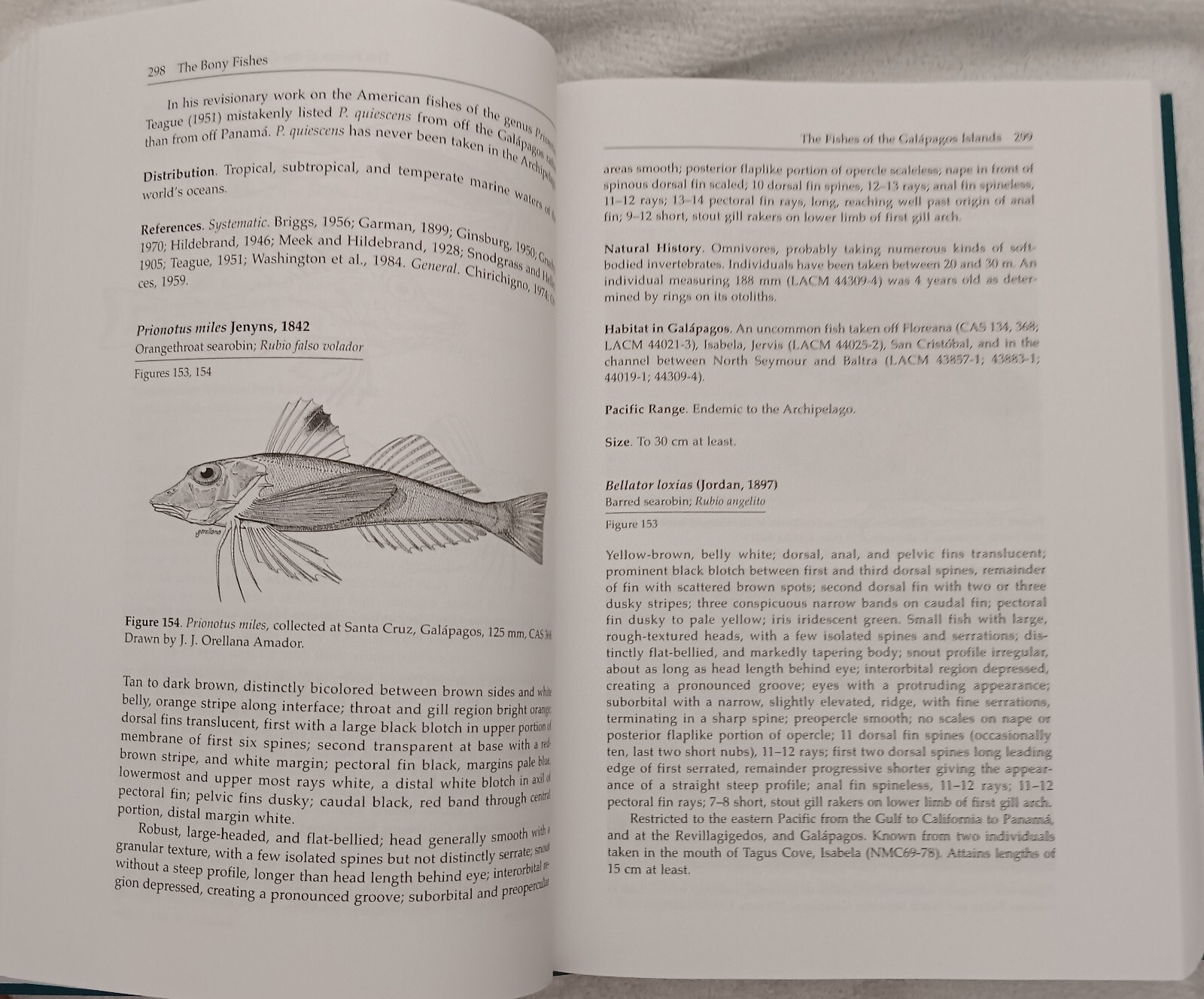 Fishes of the Galápagos Islands • Grove & Lavenberg • 1997 • Stanford HC/DJ