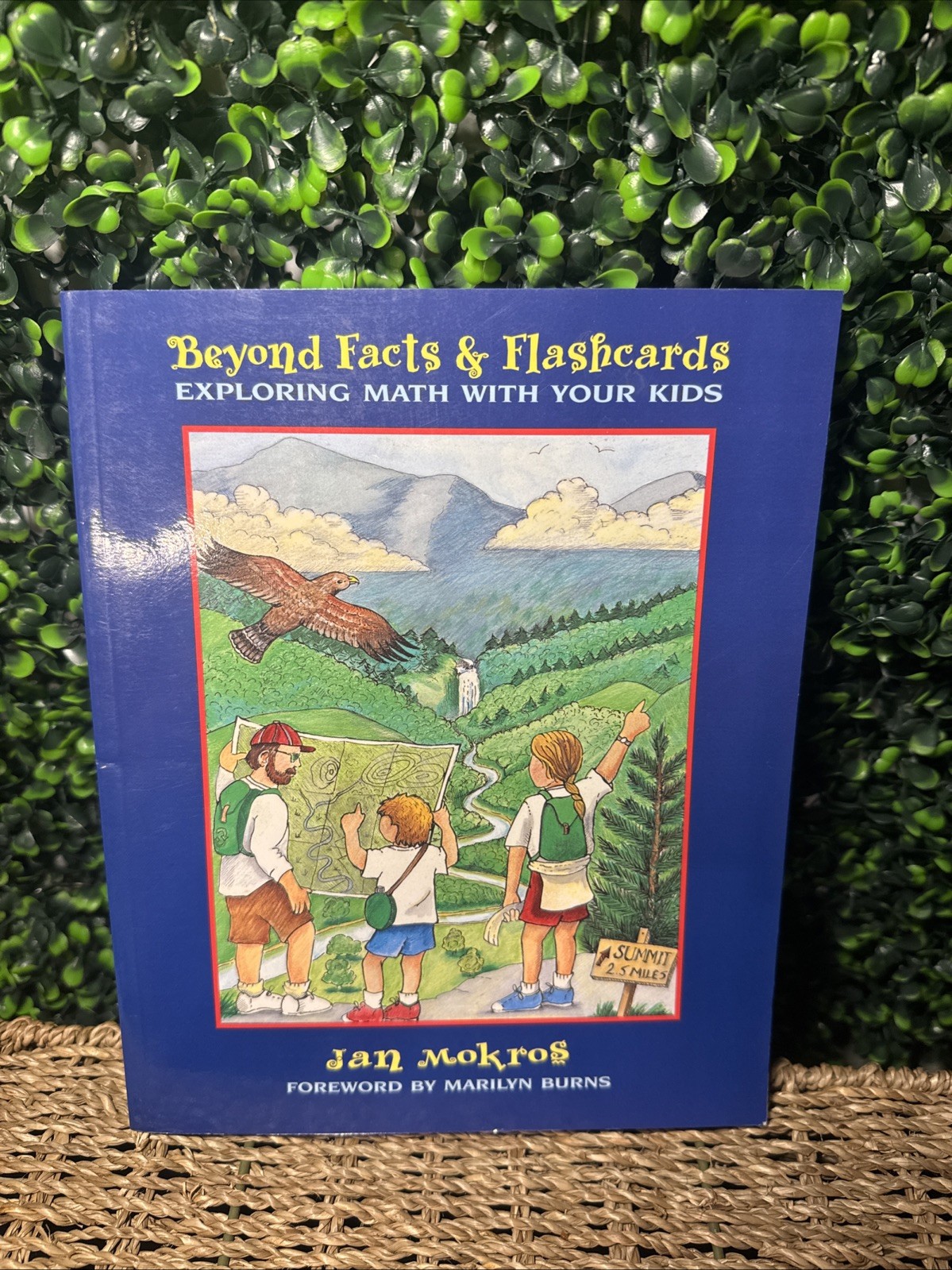 Beyond Facts Flashcards: Exploring Math with Your Kids – Cards – VERY GOOD