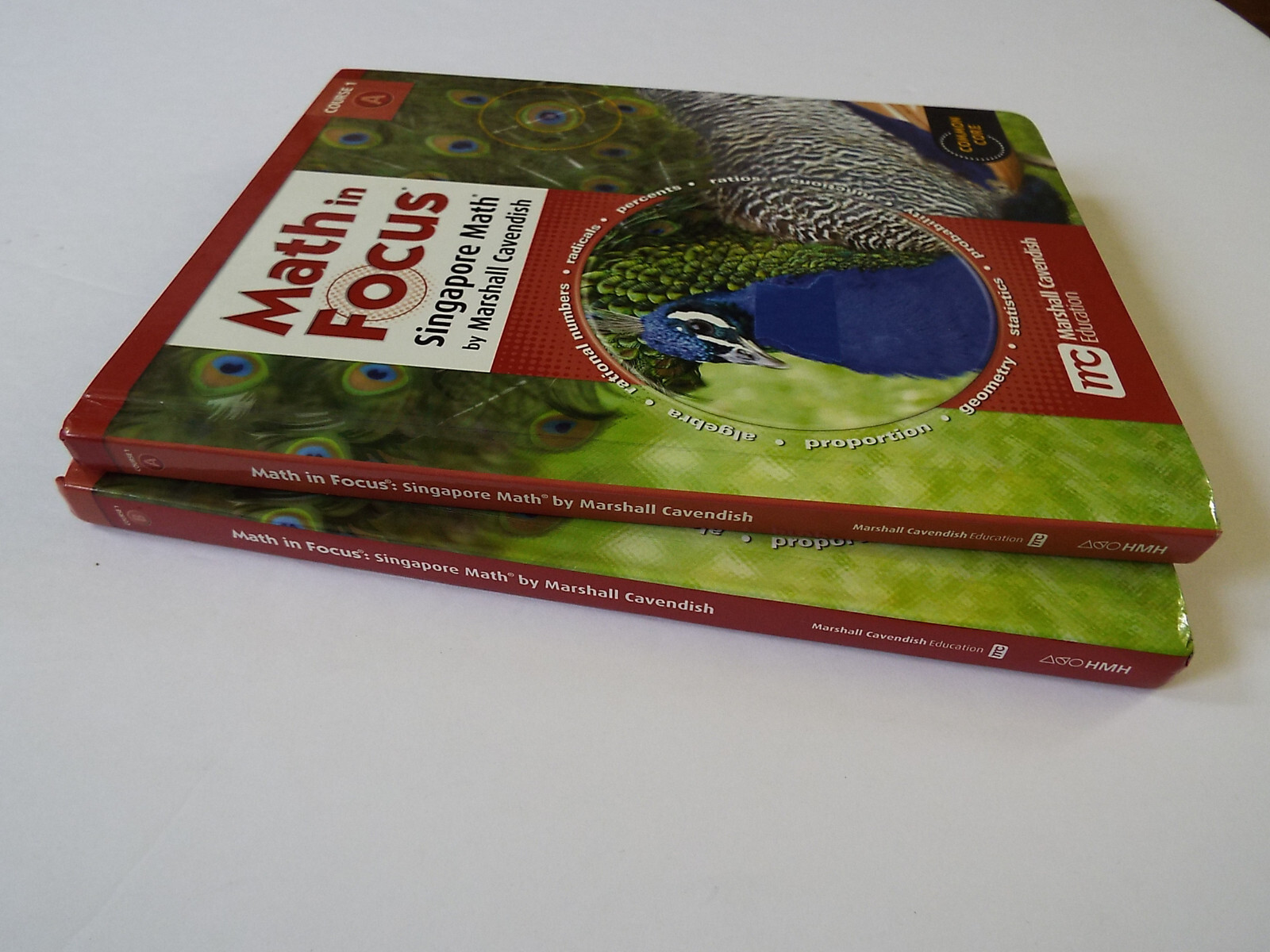 Lot 2 Math in Focus The Singapore Approach Grade 2 2A & 2B Student Textbooks