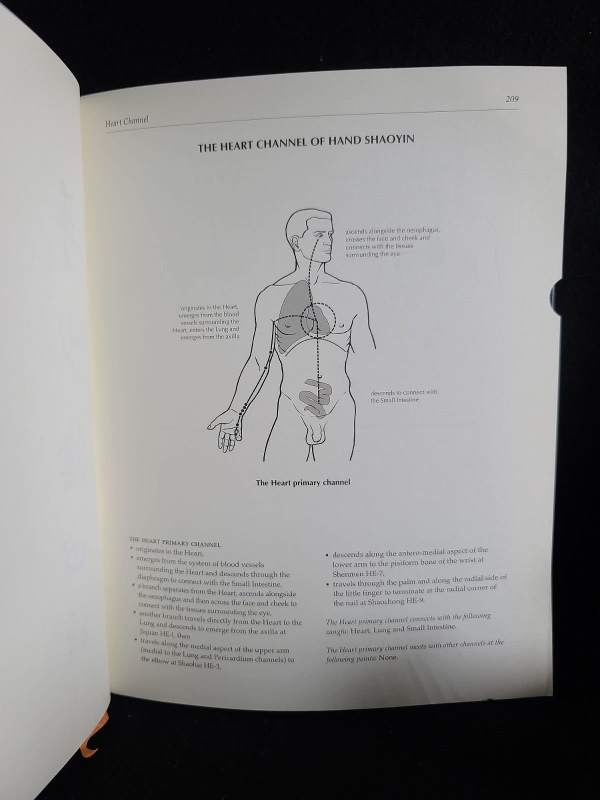A Manual of Acupuncture HC 2006 Peter Deadman Chinese Medicine Textbook