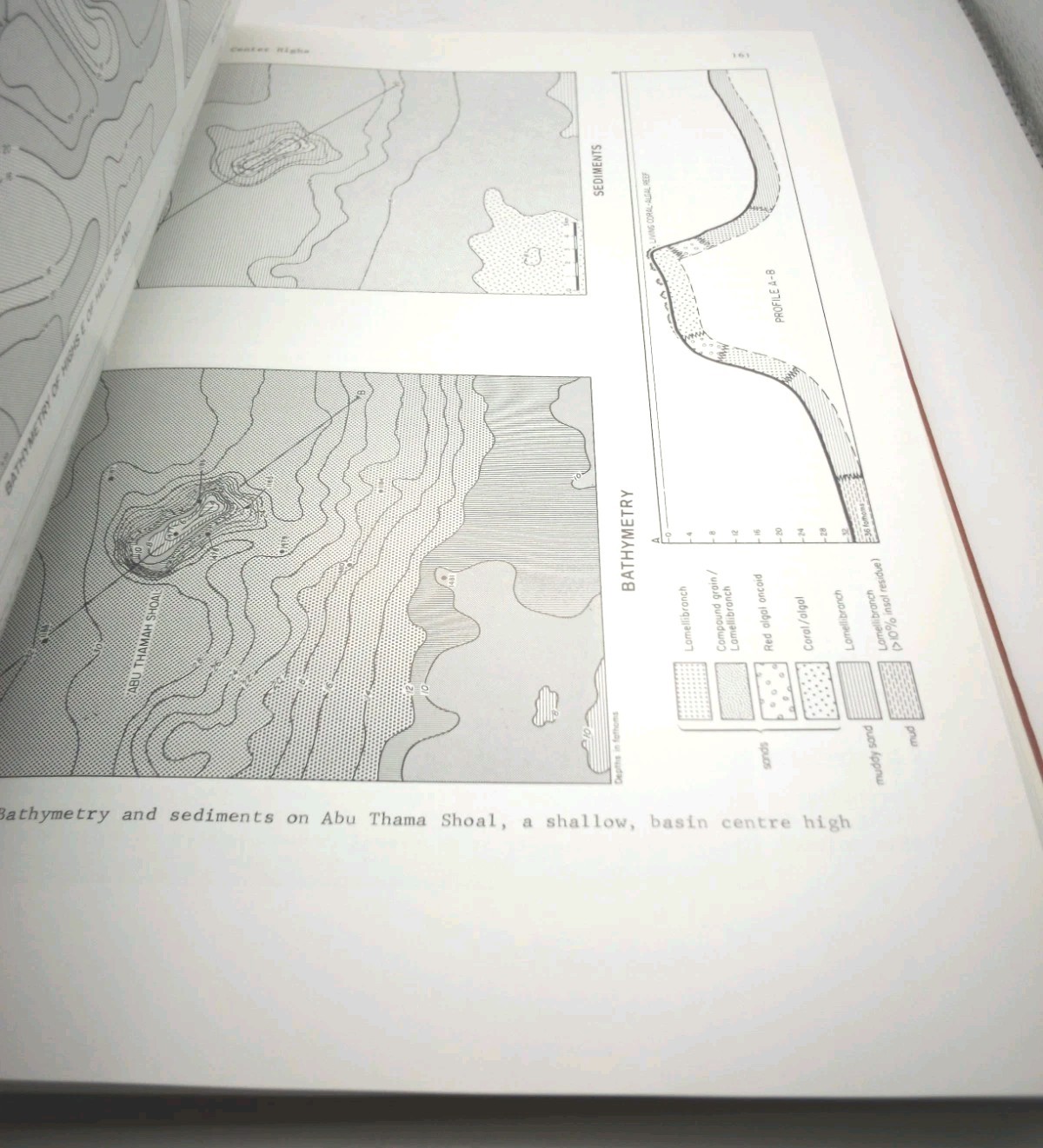 1973 The Persian Gulf (Holocene Carbonate Sed…) Iran Geology Abu Dhabi