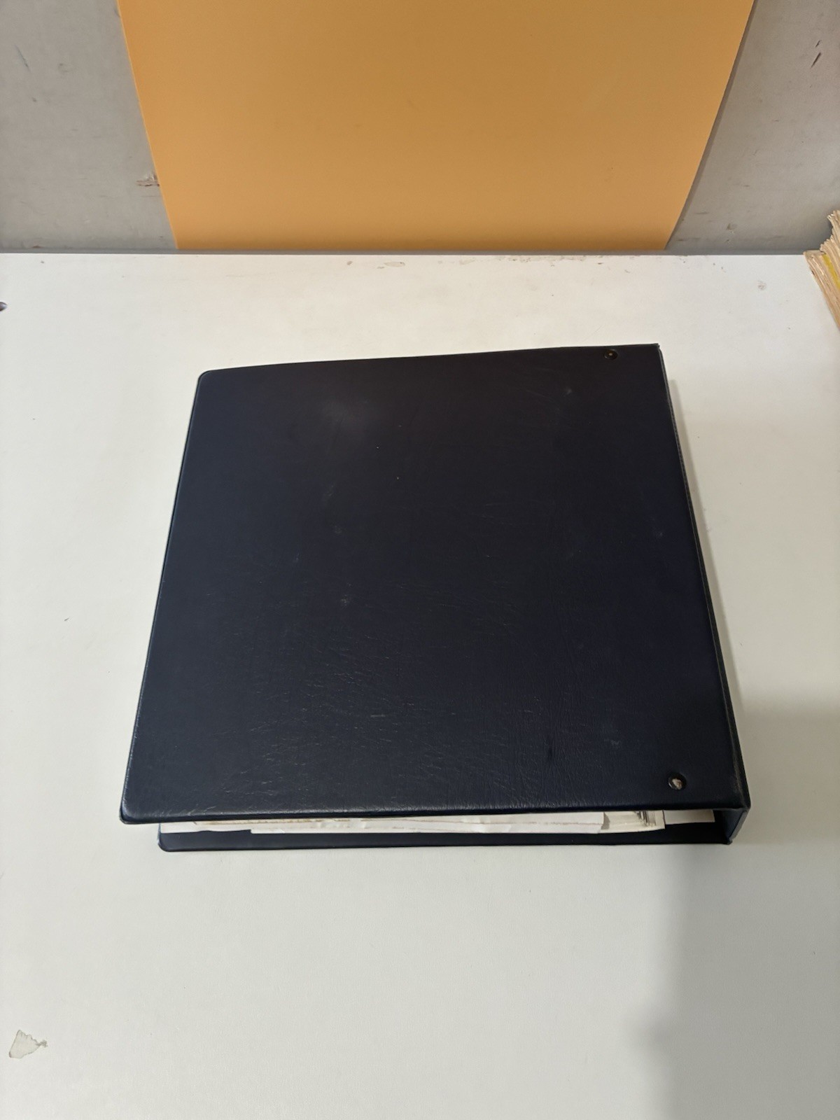 Horse Industry Handbook Guide to Equine Care and Management 3 Ring Binder 1994