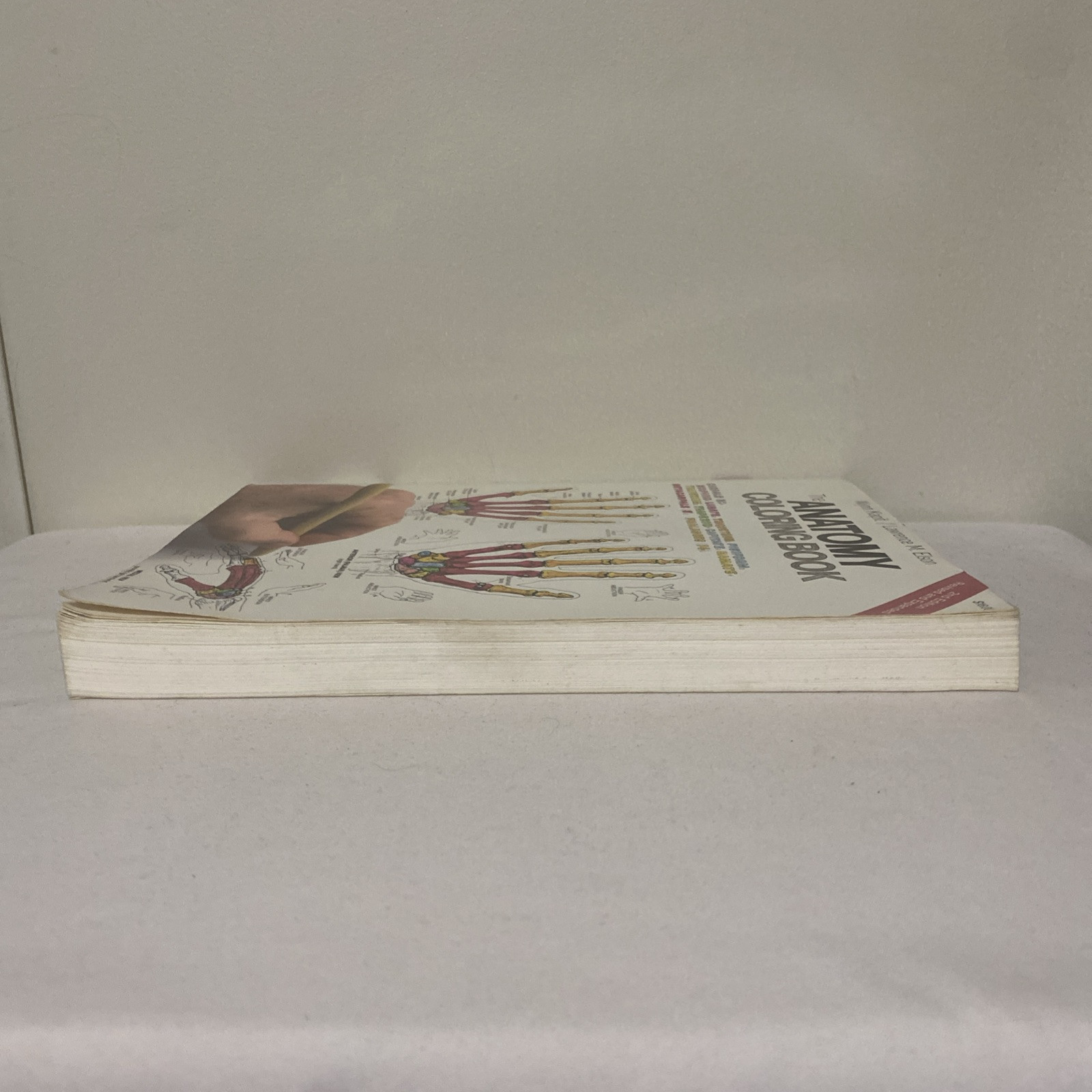 The Anatomy Coloring Book By Wynn Kapit & Lawrence M. Elson 2nd Edition