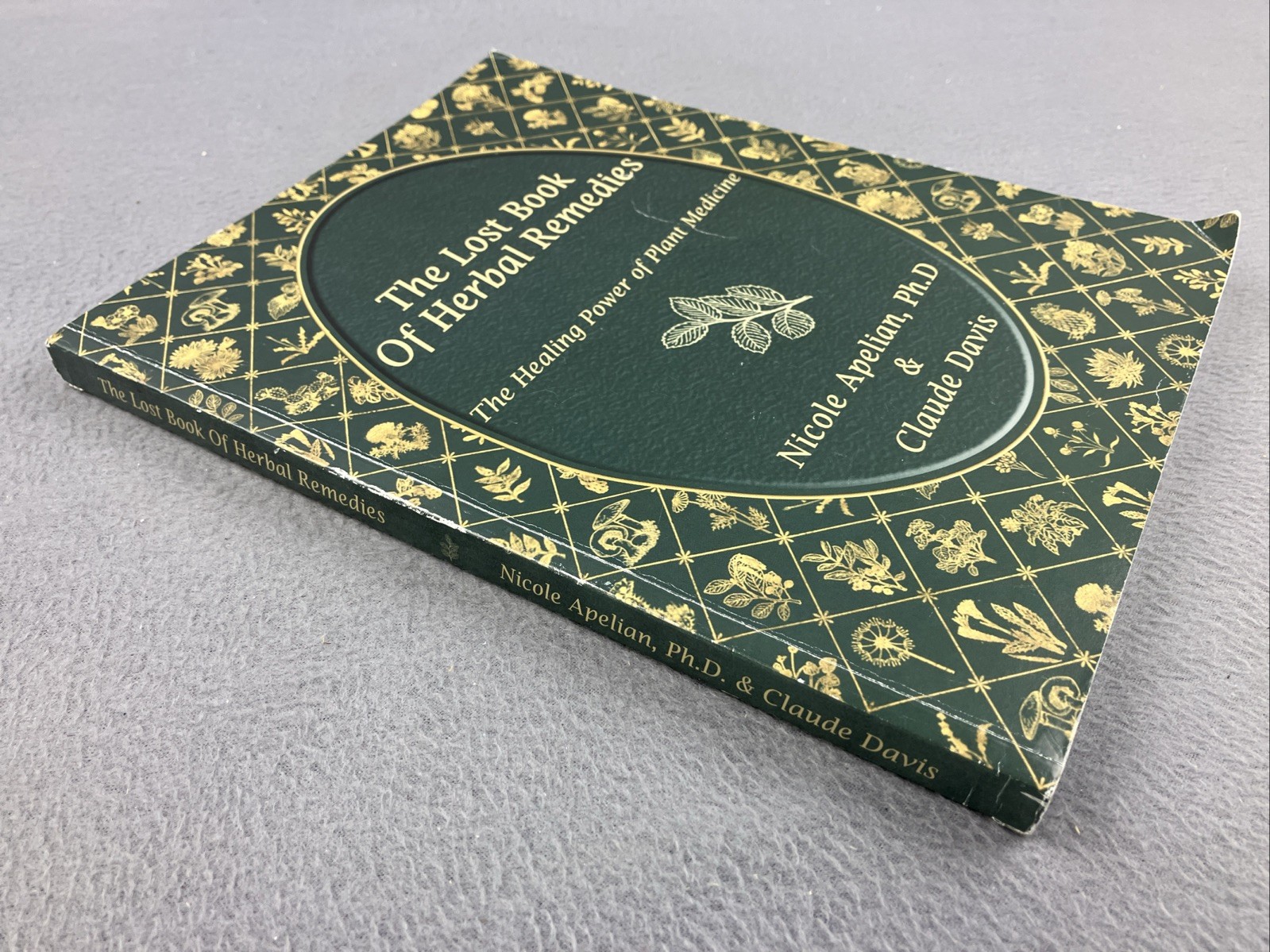 The Lost Book of Herbal Remedies (paperback with color pictures) Herbs Recipes