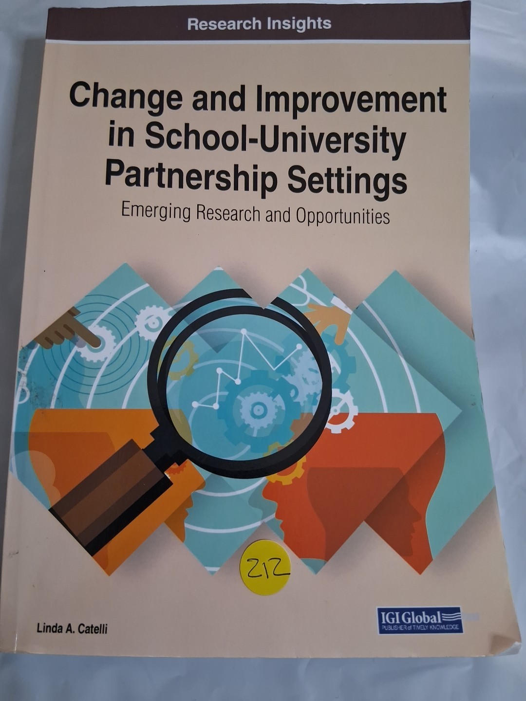 Change and Improvement in School-University Partnership Settings: Emerging