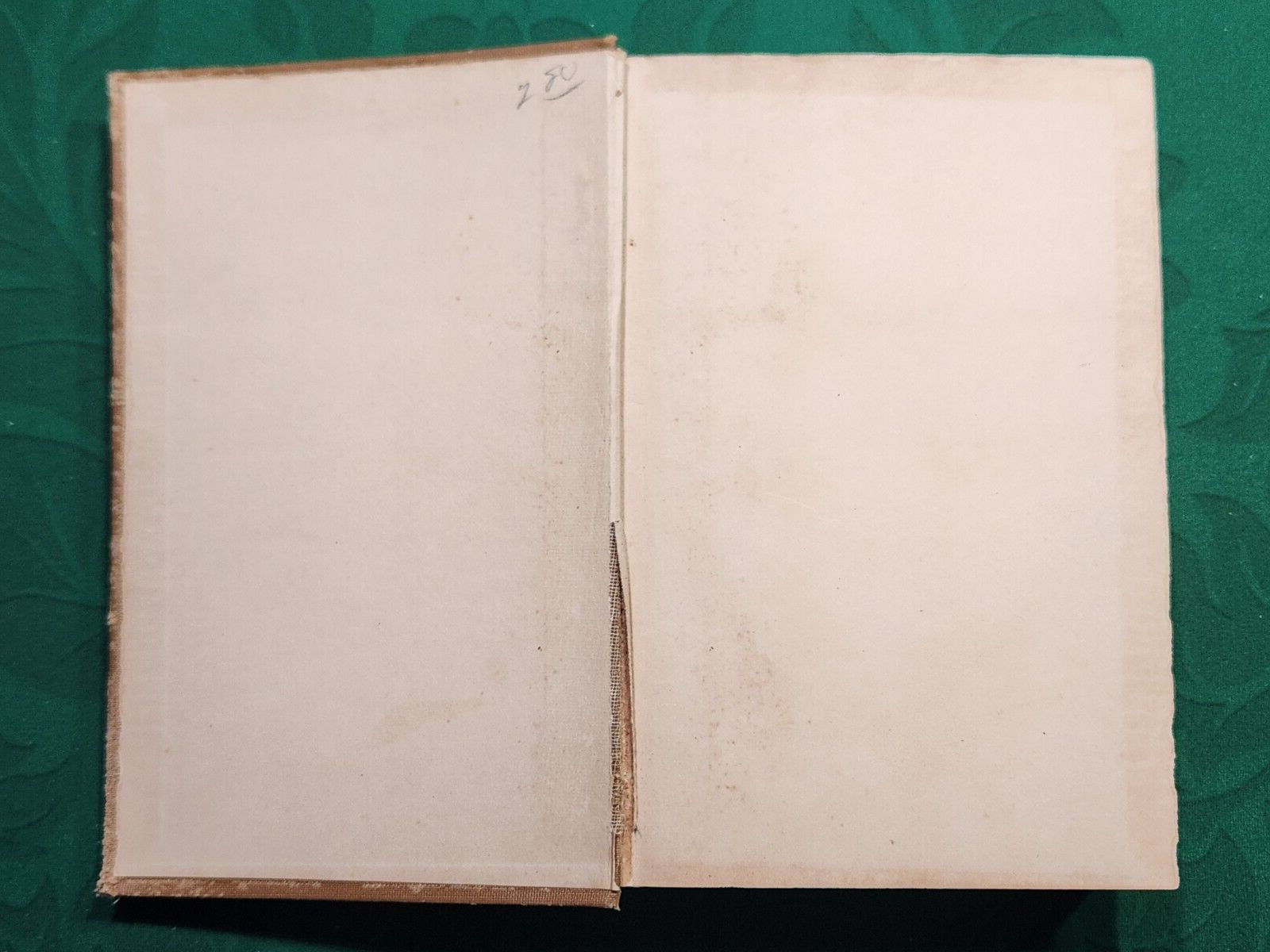 Introduction to Political Parties and Practical Politics ~ P. Norman Ray 1924 hc