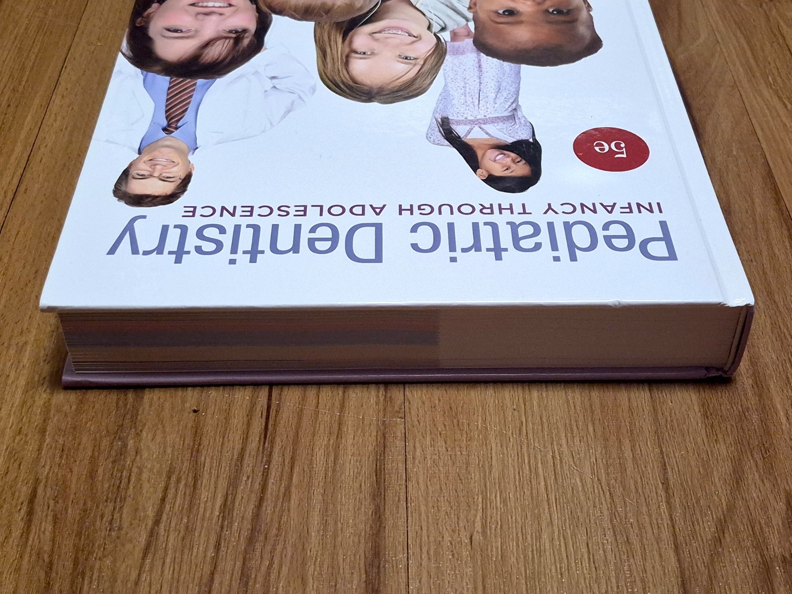 🔥 Pediatric Dentistry : Infancy Through Adolescence 5e ( PEDIATRIC DENTISTRY )
