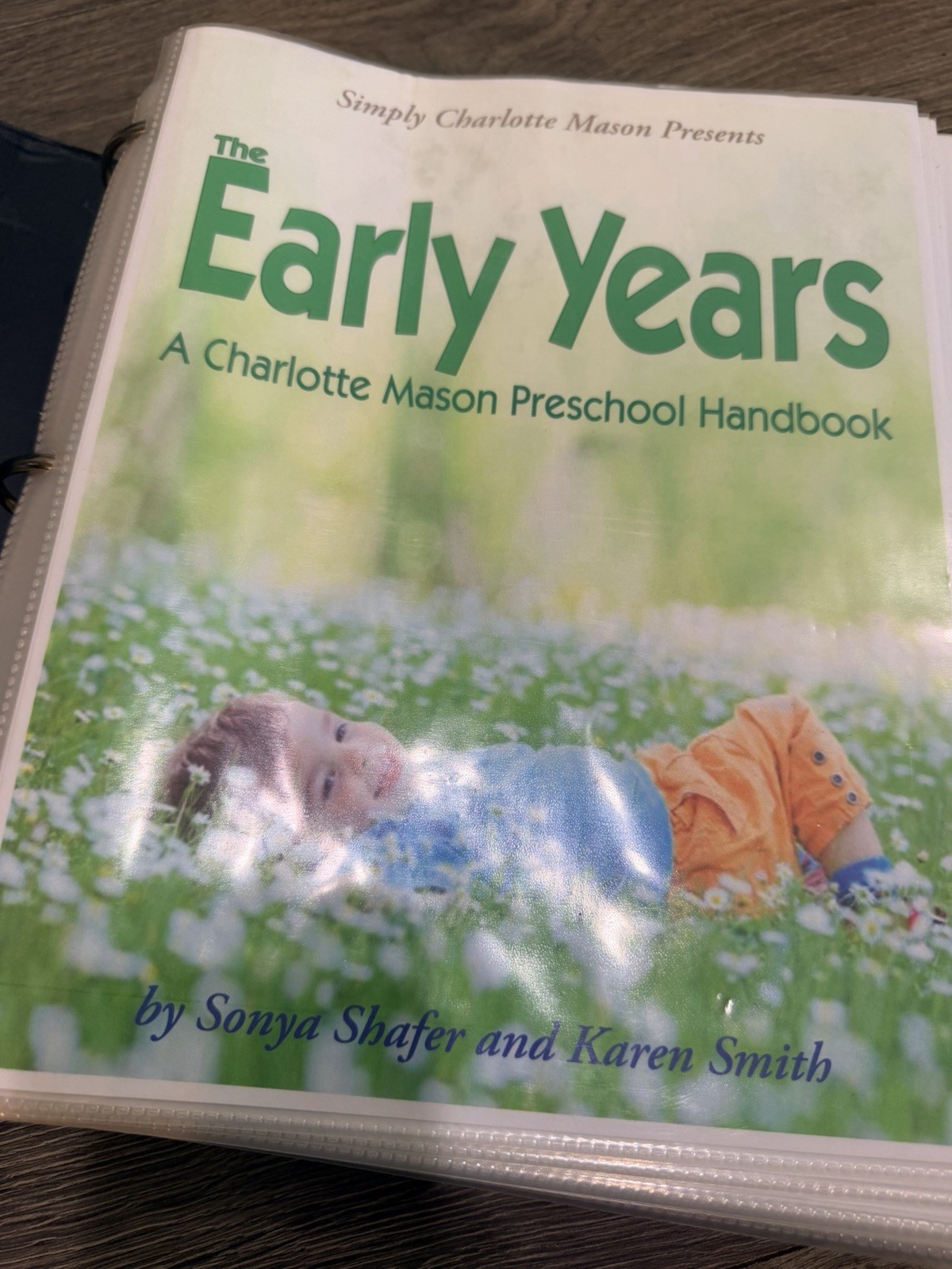 Early Years and Individual Studies lesson Plans for Grade 1 in folder.