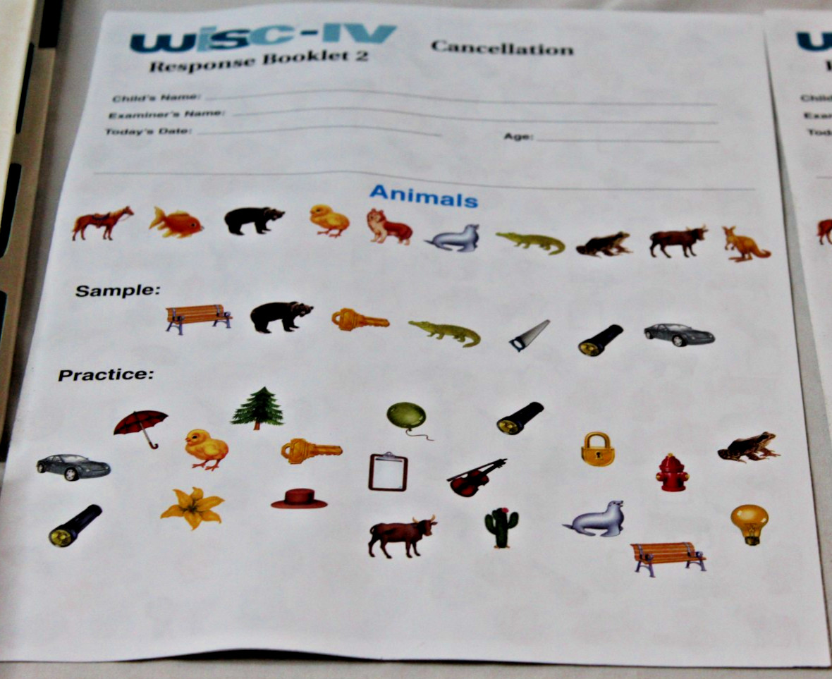WISC-IV Wechsler Intelligence Scale for Children Fourth Edition Psychologist