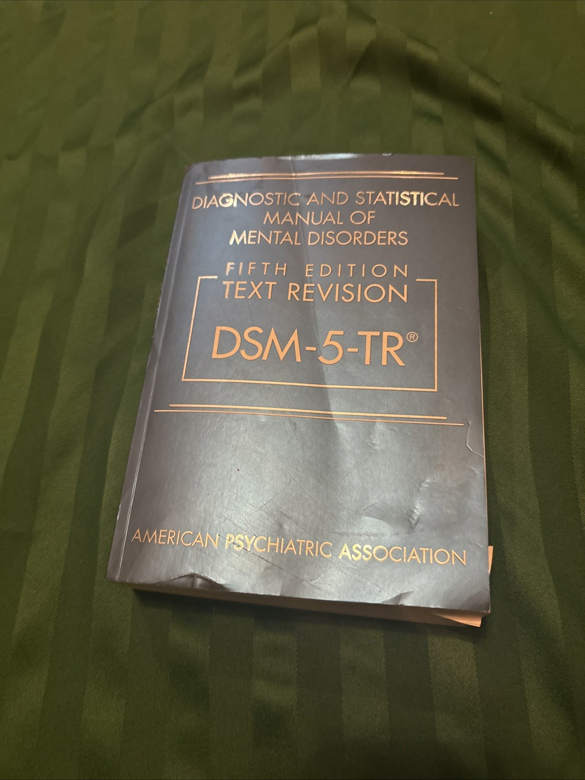 DSM-5-TR : Fifth Edition Text Revision by American Psychiatric Association