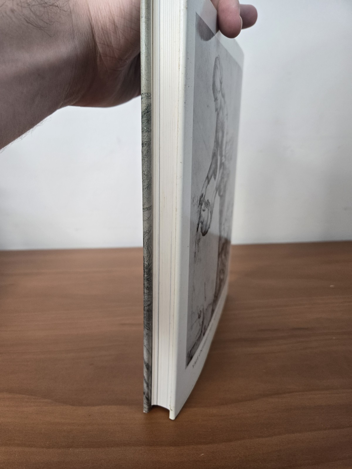 Drawing in Early Renaissance Italy Francis Ames-Lewis (1981, Hardcover) 1st Ed