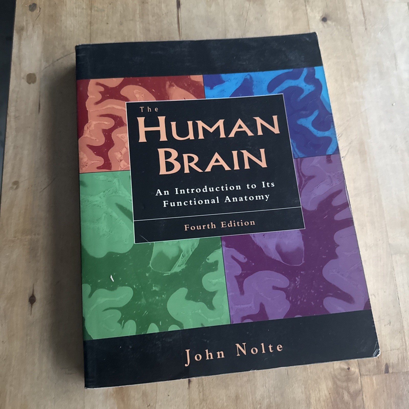 Human Brain : An Introduction to Its Functional Anatomy by John Nolte