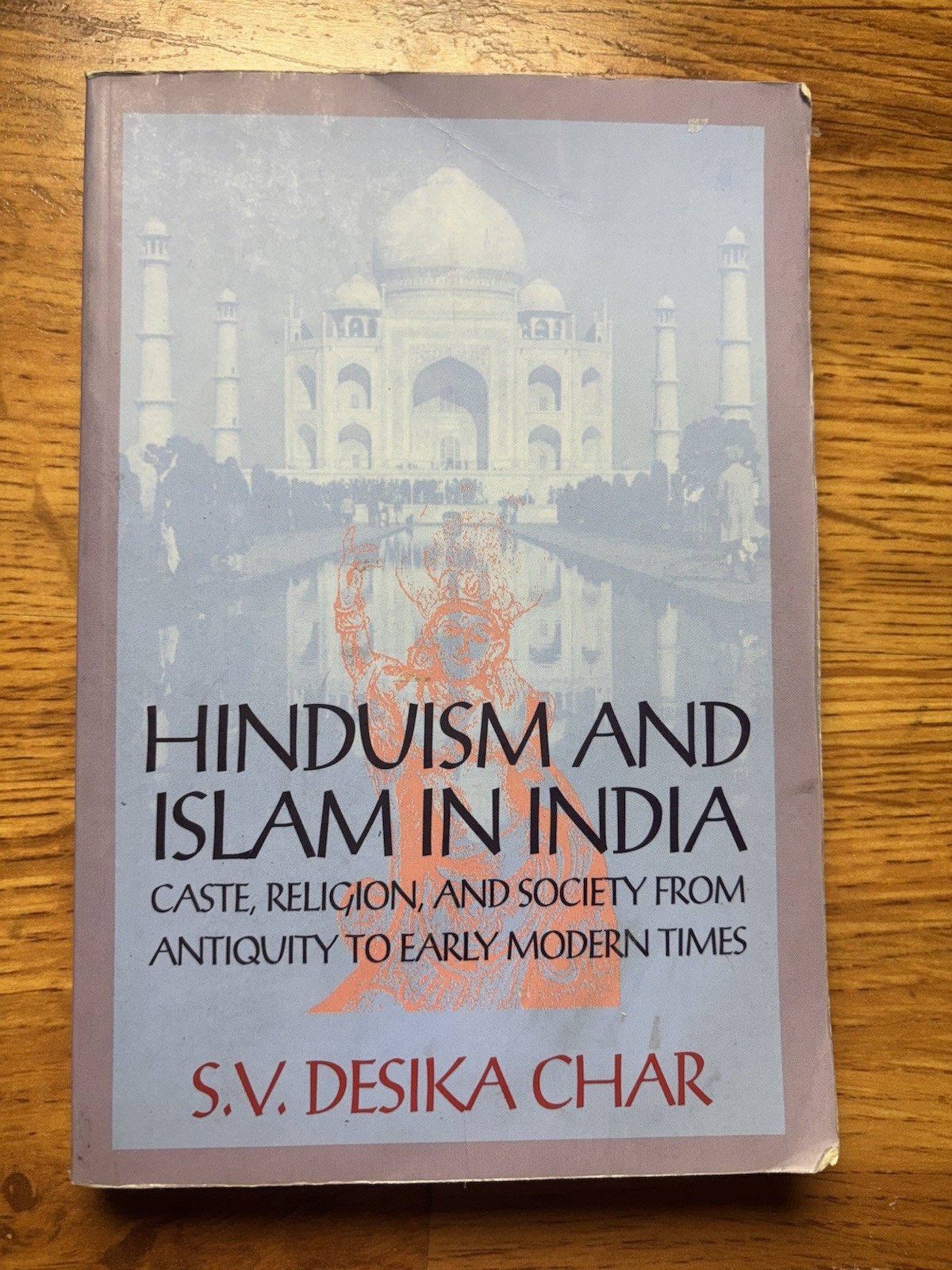 Hinduism and Islam in India : Caste, Religion and Society from Antiquity to…