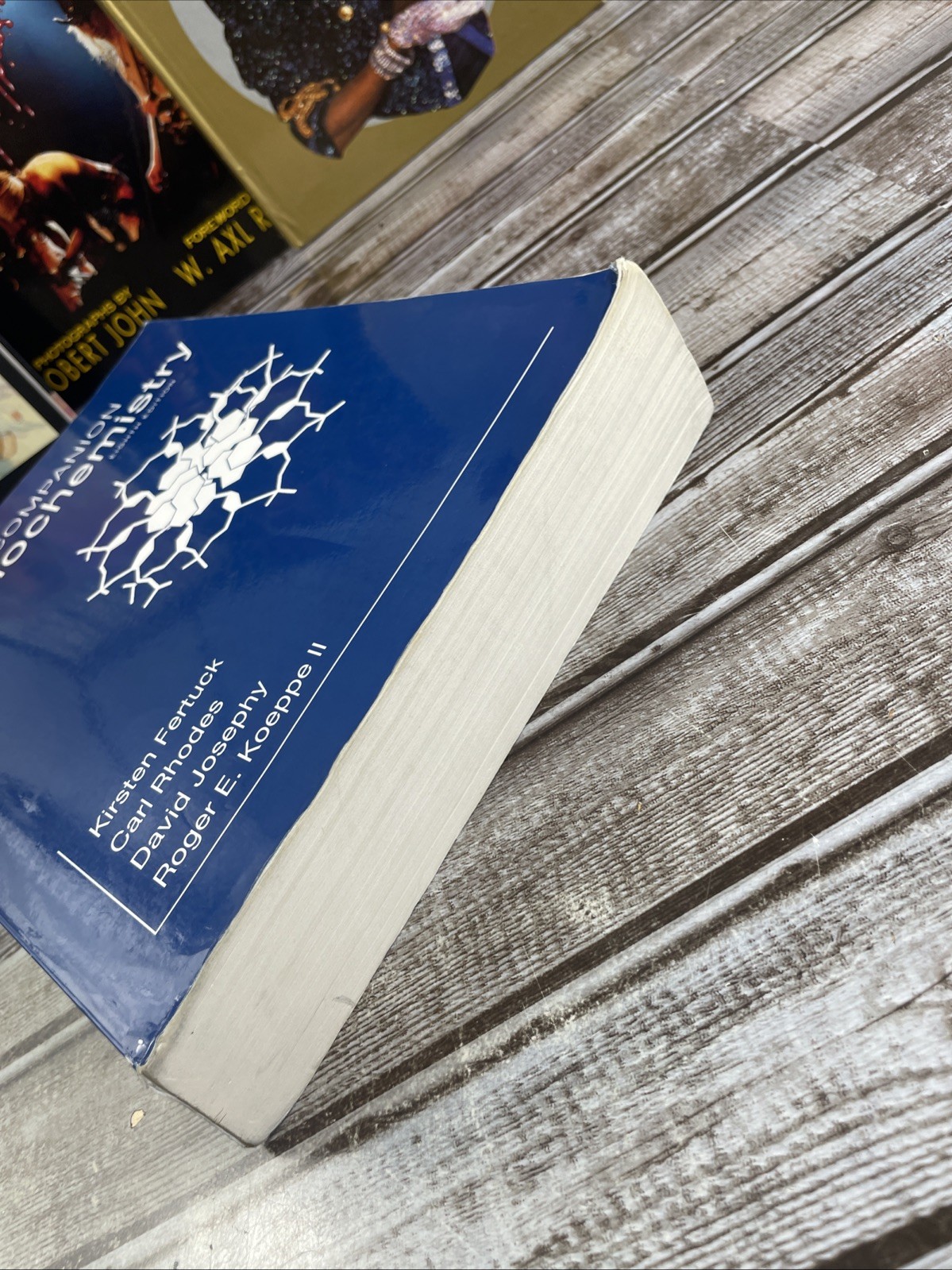 Student Companion for Biochemistry – Paperback By Berg, Jeremy M. – GOOD