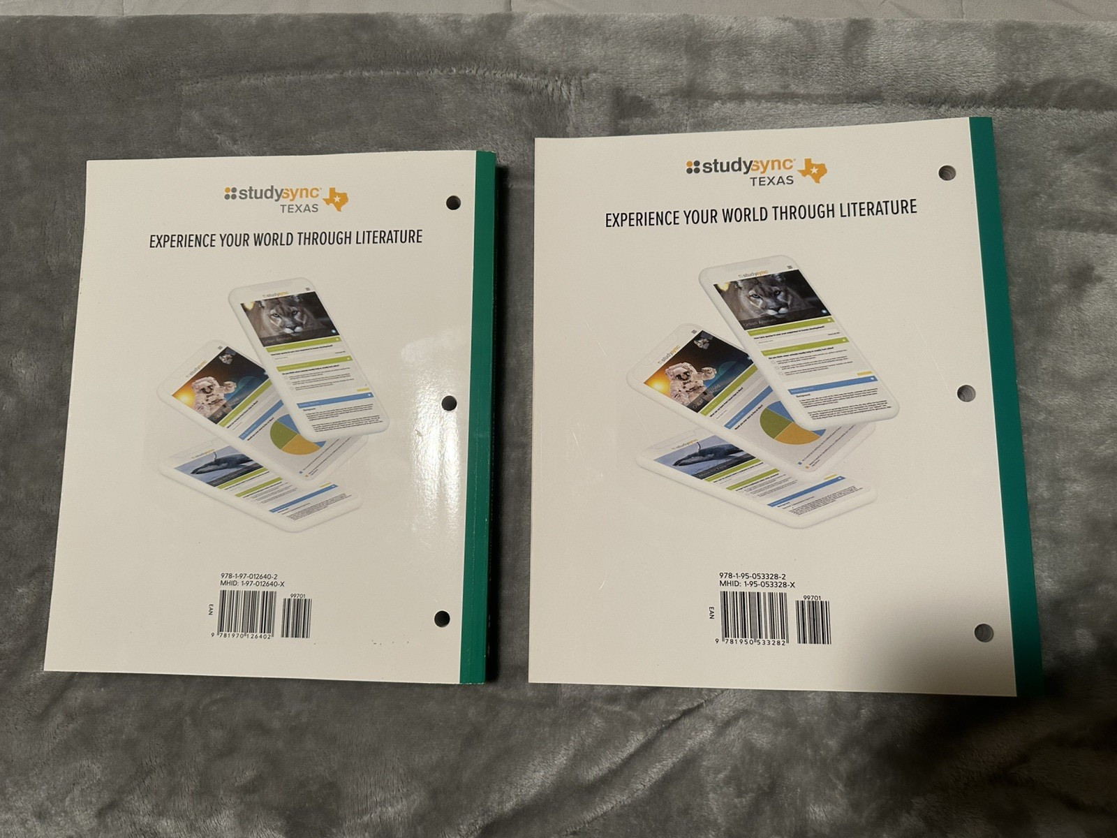 Study Sync Texas Student Edition Vol 1&2