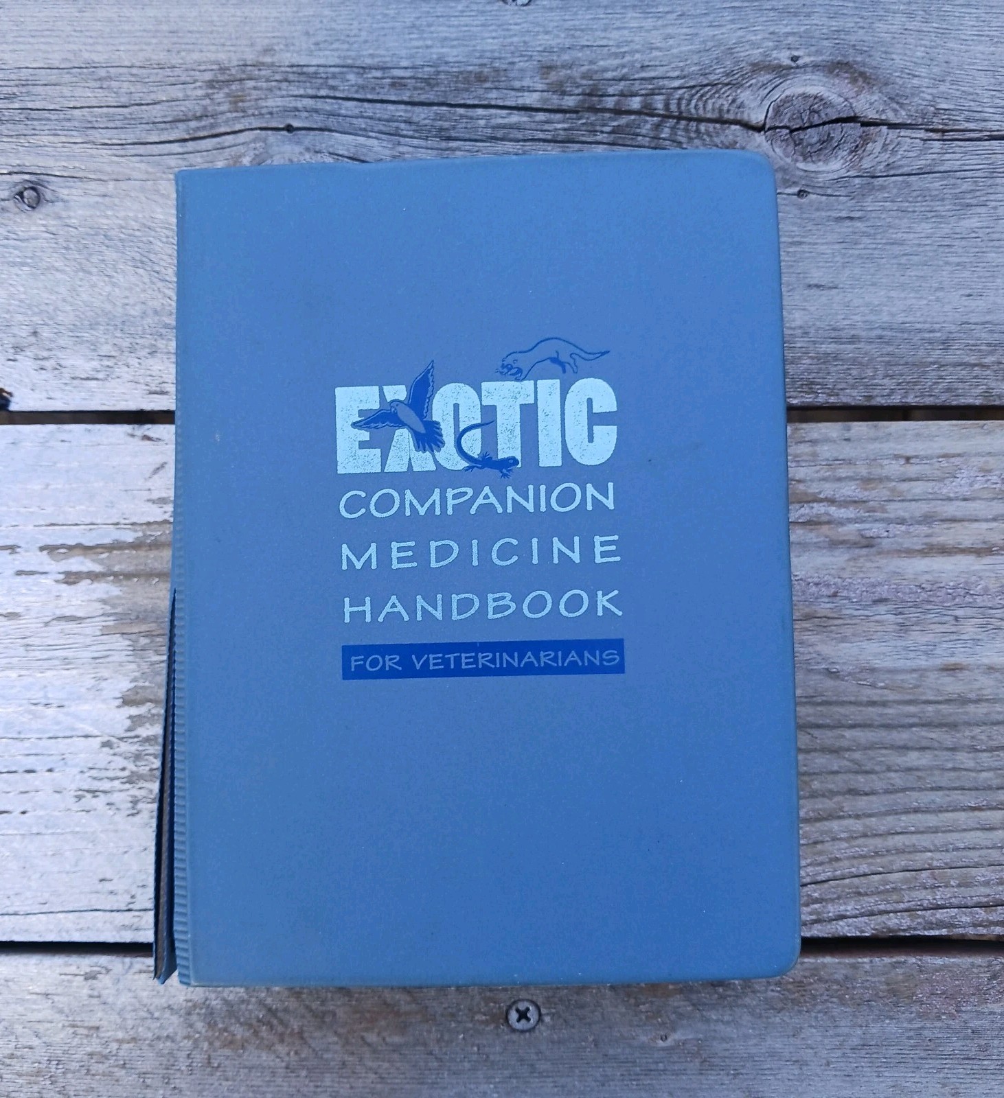 Exotic Companion Medicine Handbook for Veterinarians Johnson-Delaney