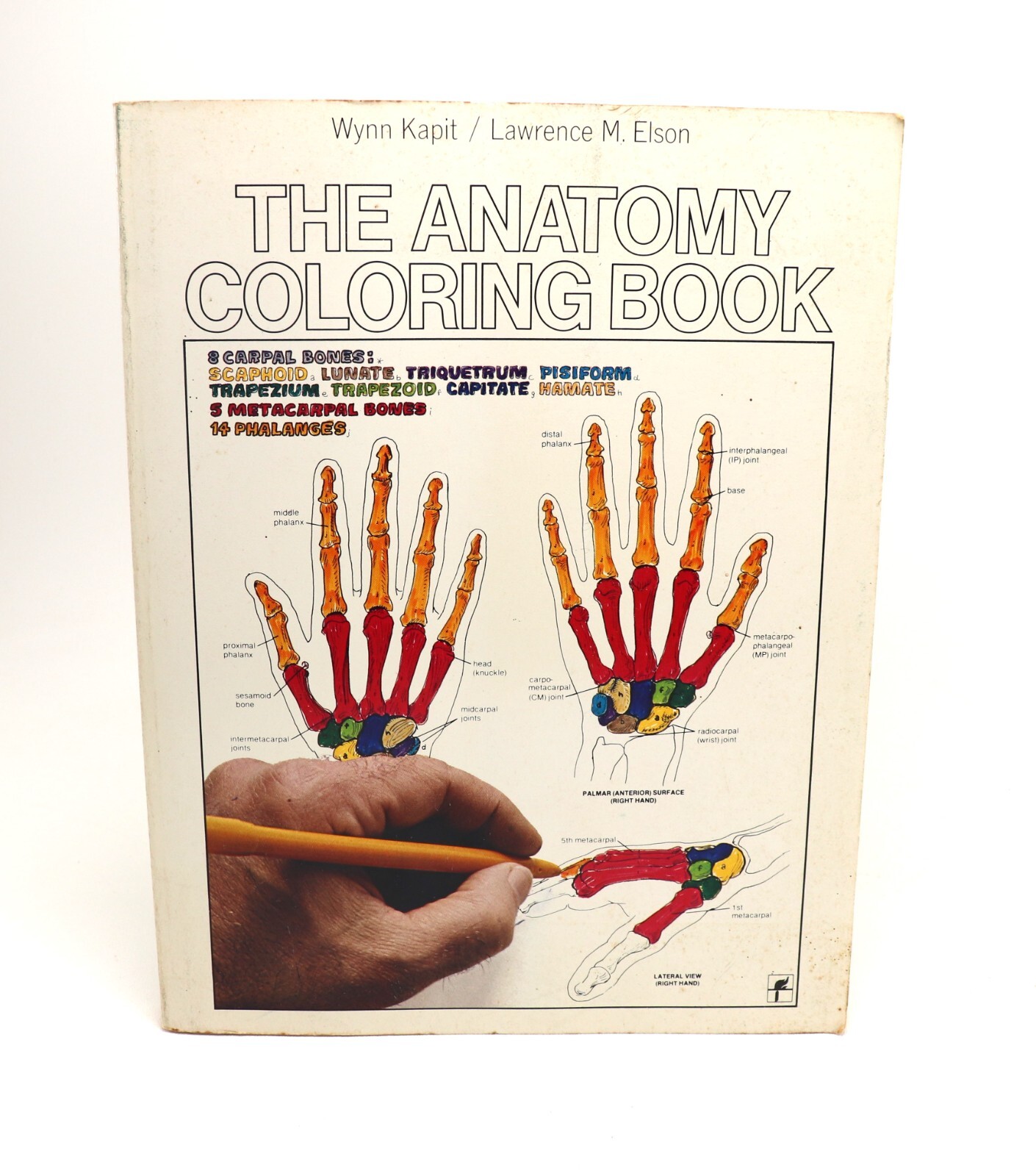 Vintage 1977, The Anatomy Coloring Book Wynn Kapit / Lawrence M. Elson, COS 175