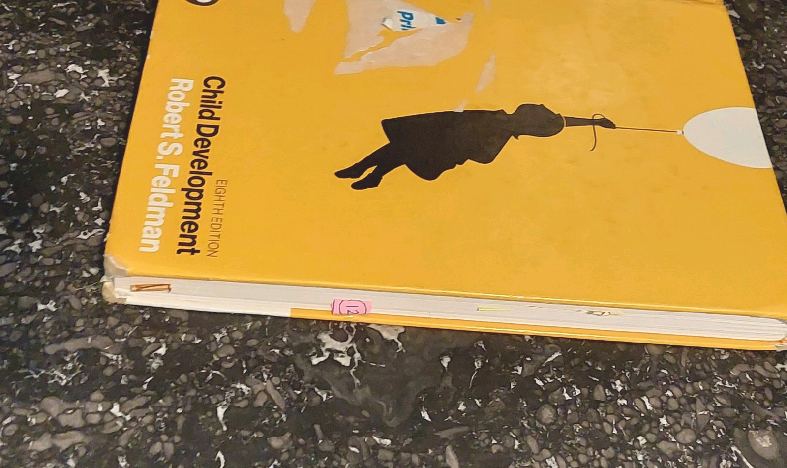 Child Development eigth edition Robert Feldman 2018