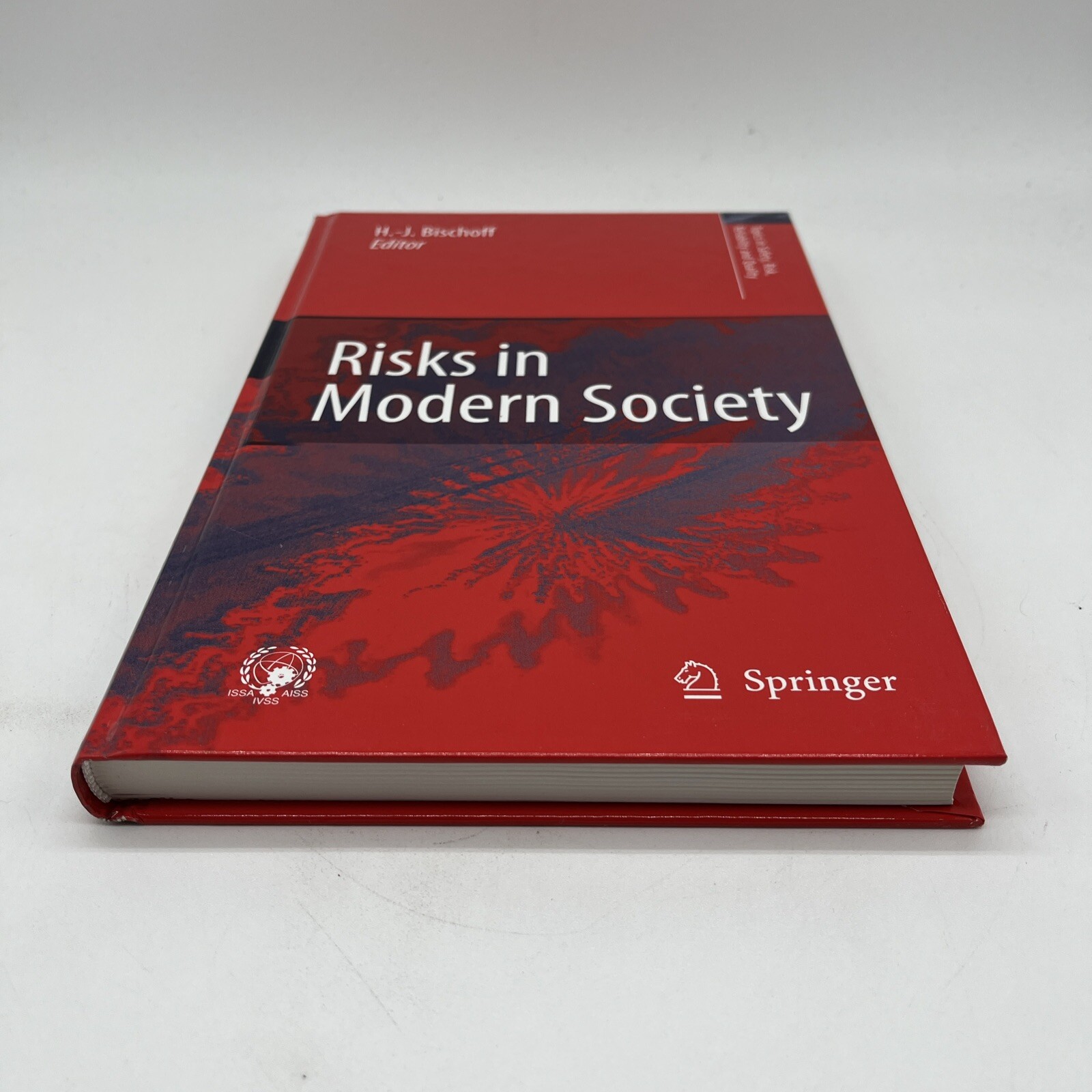 Risks in Modern Society HB by Bischoff Hans-jurgen Topics In Safety Risk Quality
