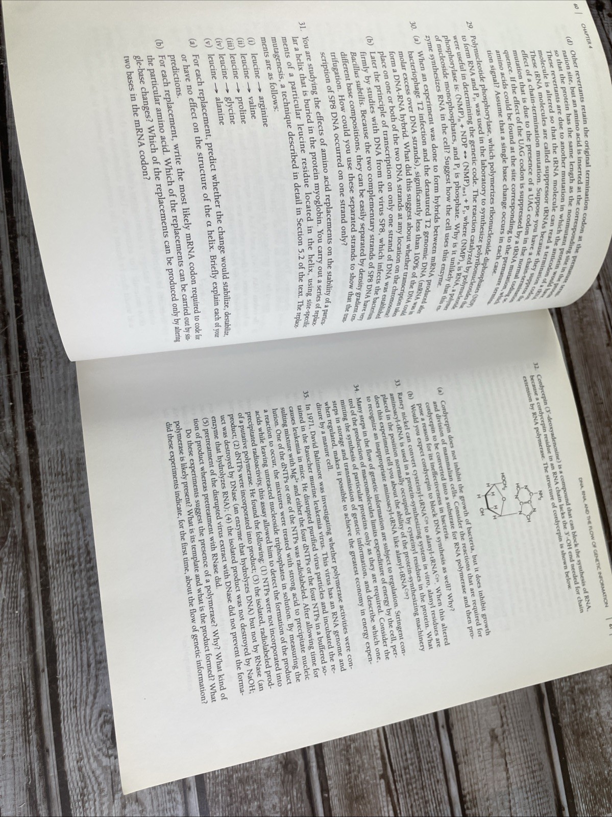 Student Companion for Biochemistry – Paperback By Berg, Jeremy M. – GOOD