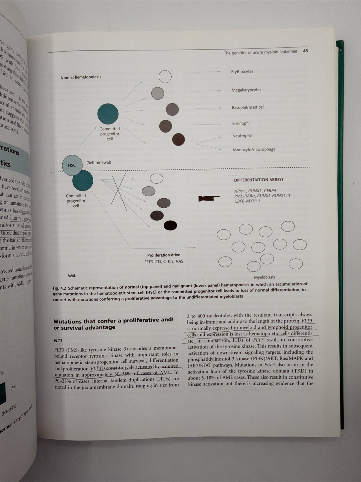 Molecular Hematology by Drew Provan (2010, Hardcover)
