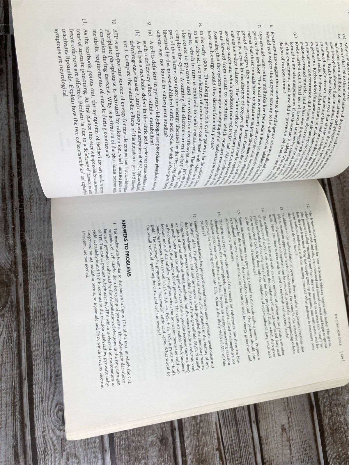 Student Companion for Biochemistry – Paperback By Berg, Jeremy M. – GOOD