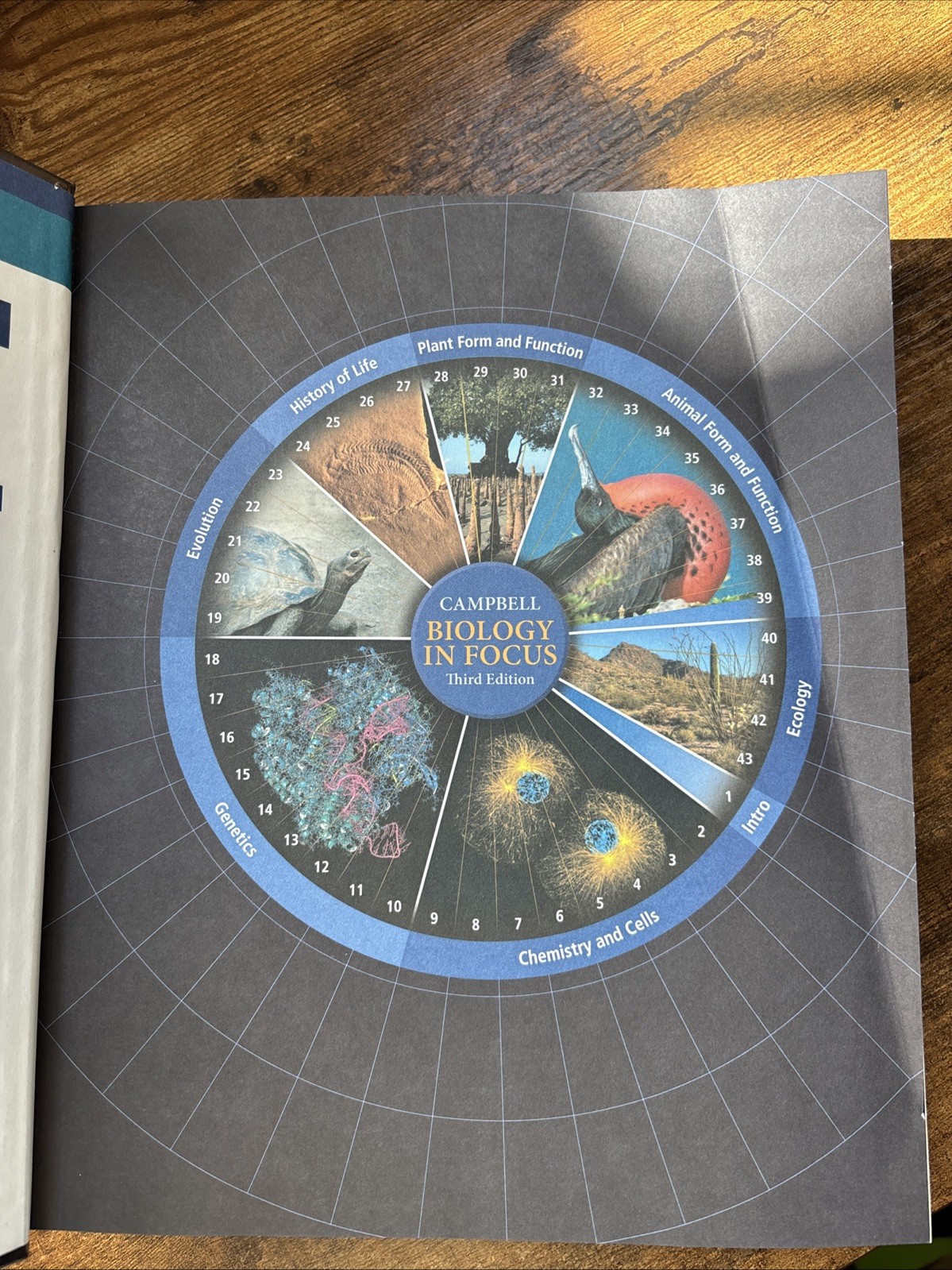Campbell Biology in Focus by Lisa Urry, Steven Wasserman, Michael Cain and Peter