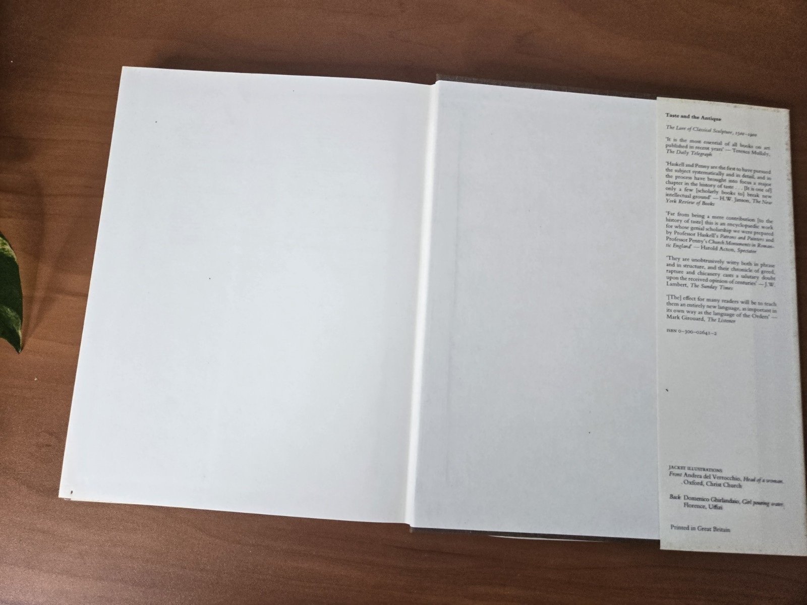 Drawing in Early Renaissance Italy Francis Ames-Lewis (1981, Hardcover) 1st Ed