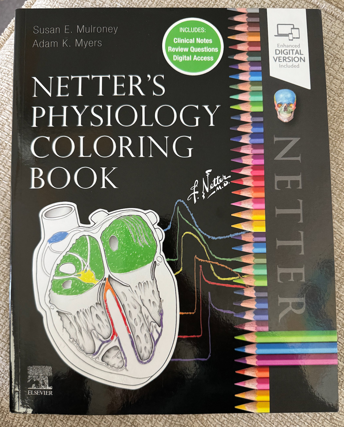 Netter Basic Science S: Netter’s Physiology Coloring Book by Adam Myers