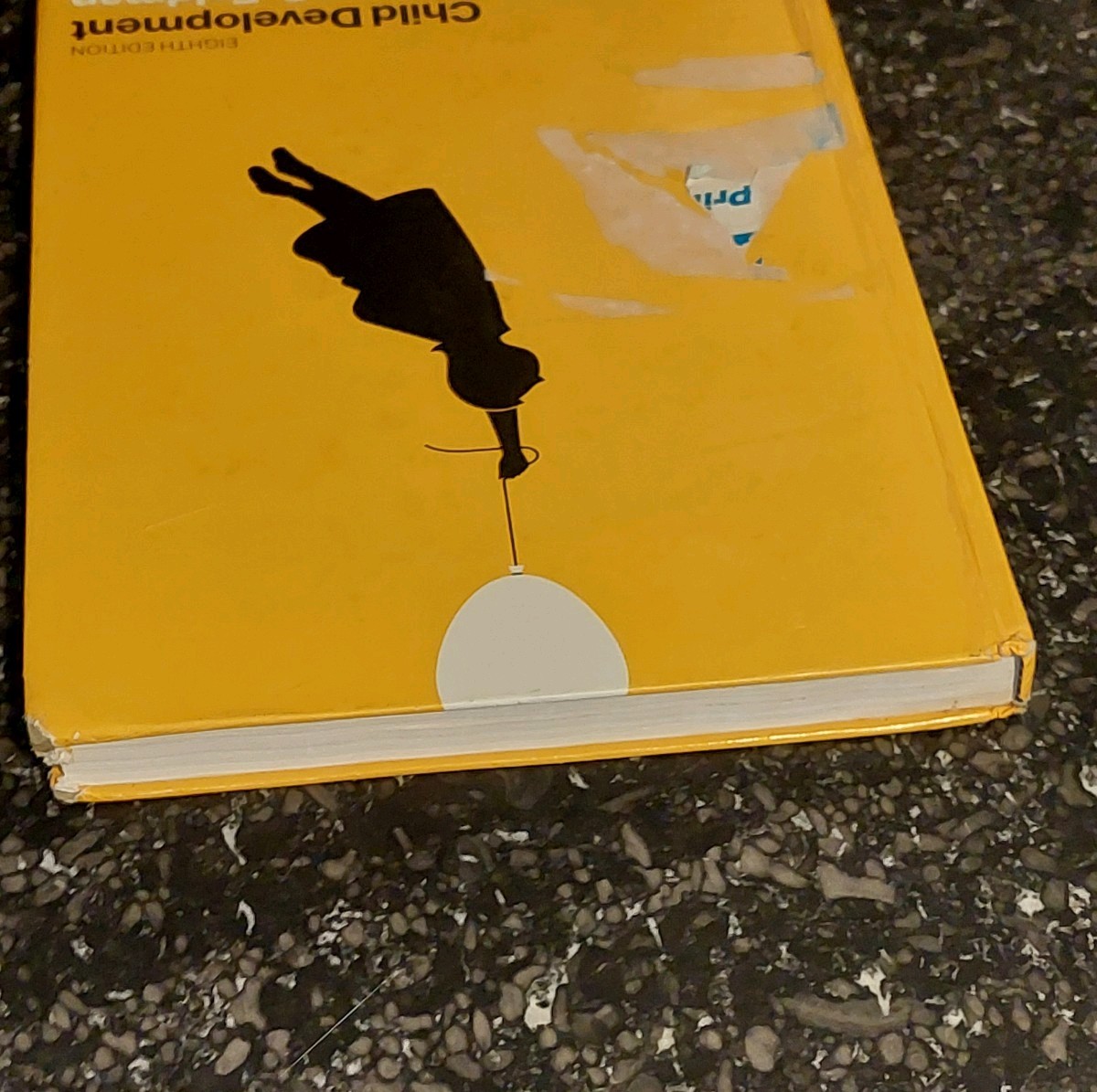 Child Development eigth edition Robert Feldman 2018
