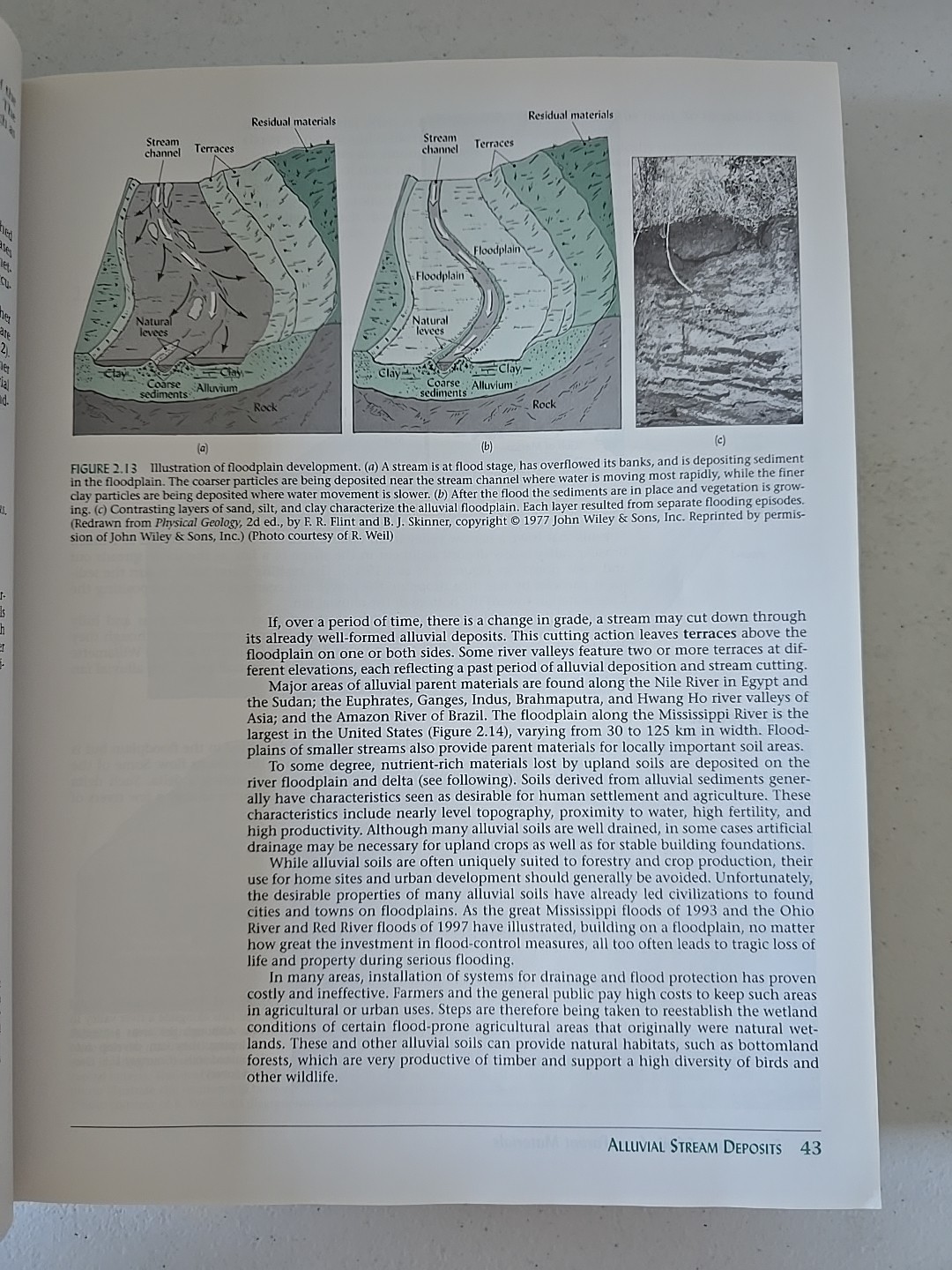 Nature and Properties of Soils by Ray R. Weil and Nyle C. Brady (1998,…