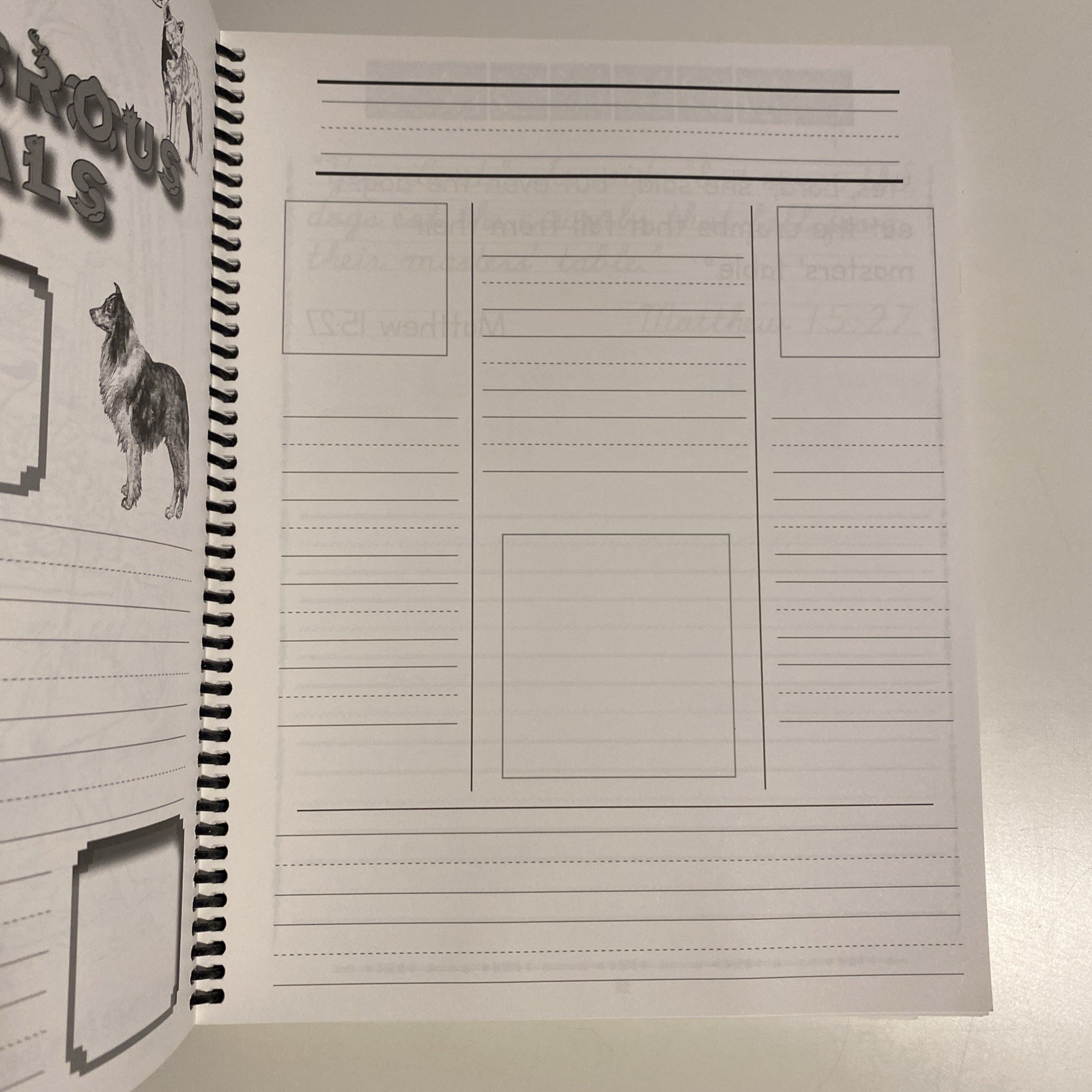 Apologia Zoology 3: Junior Notebooking Journal, Clean Pages