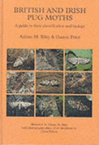 British and Irish Pug Moths – Lepidoptera : A Guide to Their Identification a…