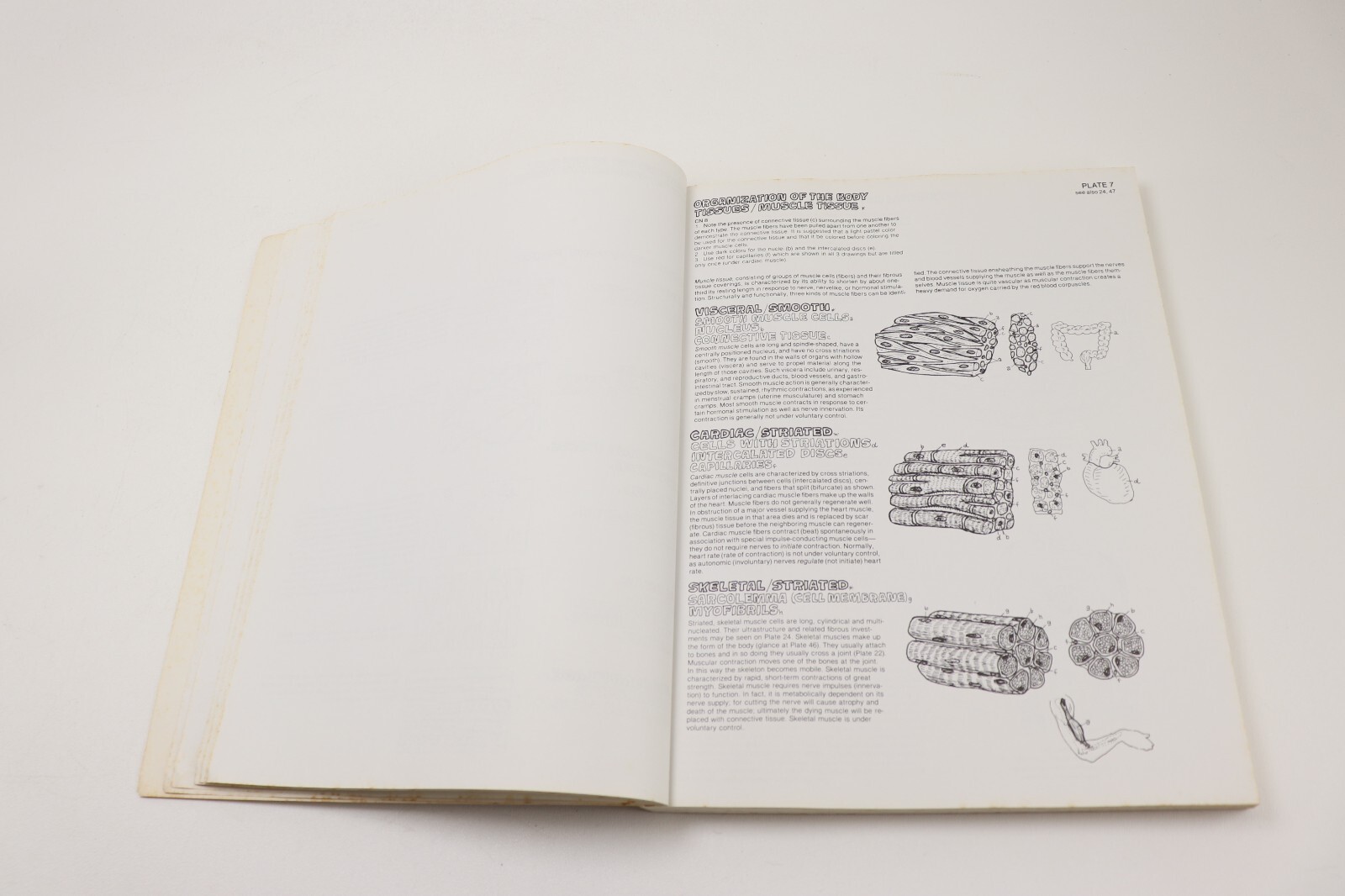 Vintage 1977, The Anatomy Coloring Book Wynn Kapit / Lawrence M. Elson, COS 175