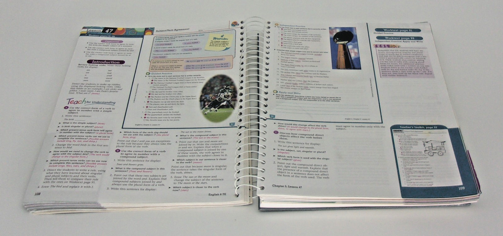Teacher’s Edition English 6 Writing and Grammar-Second Edition-200535, No CD