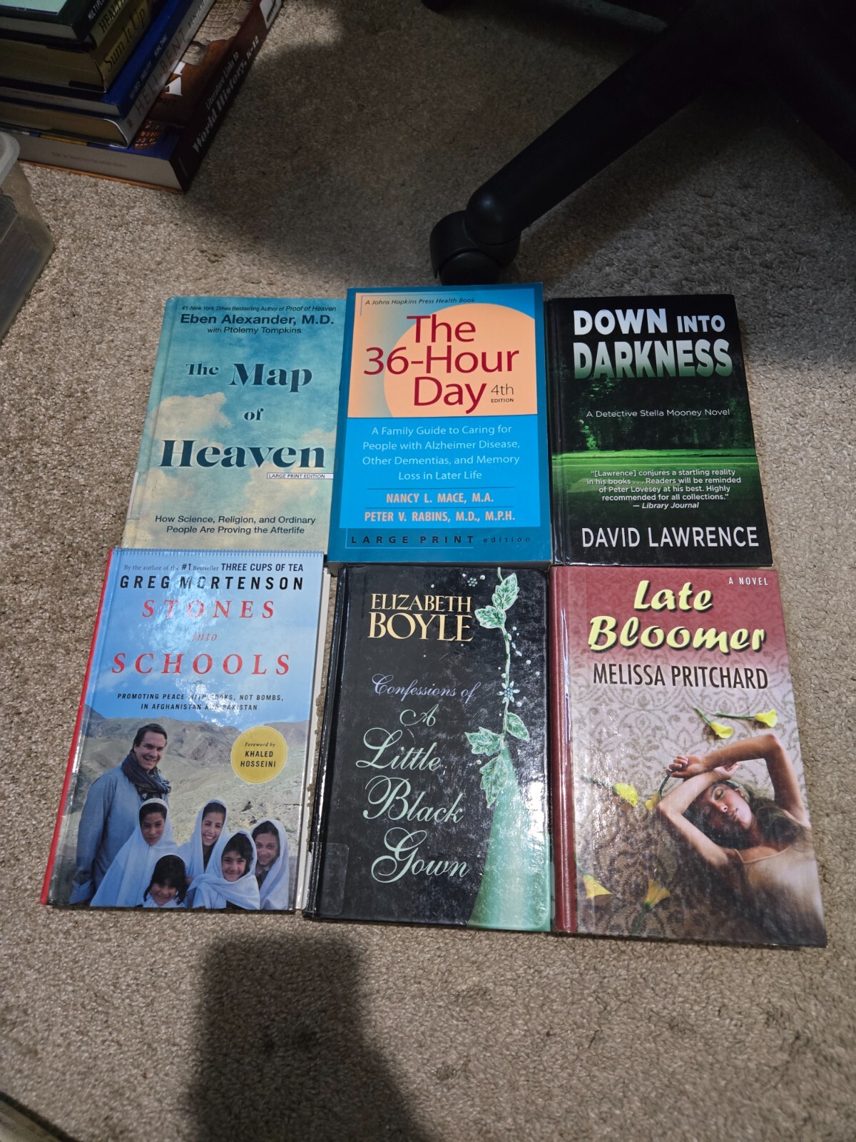 Large Lot of 18 Large Print Books – Various Titles, Subjects, Authors