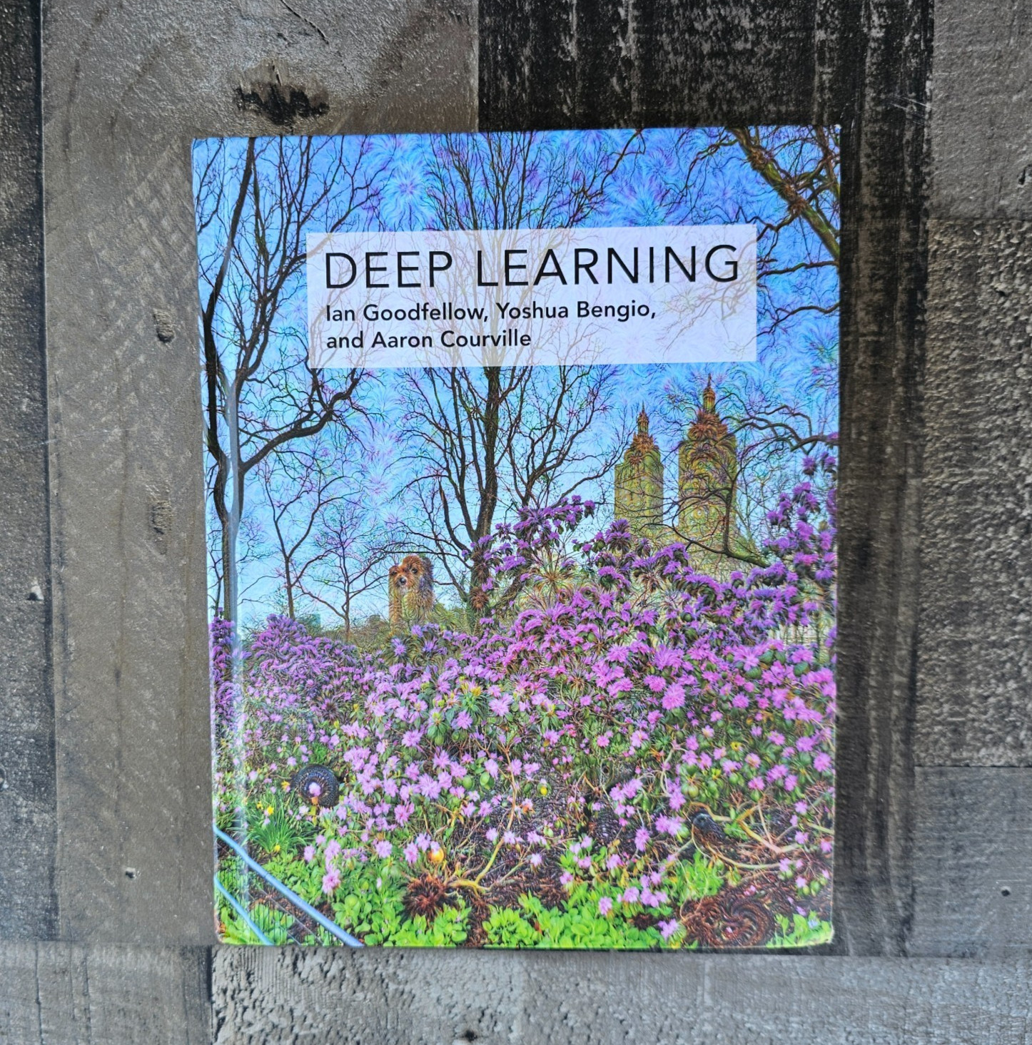 Deep Learning (Adaptive Computation and Machine Learning series) – GOOD
