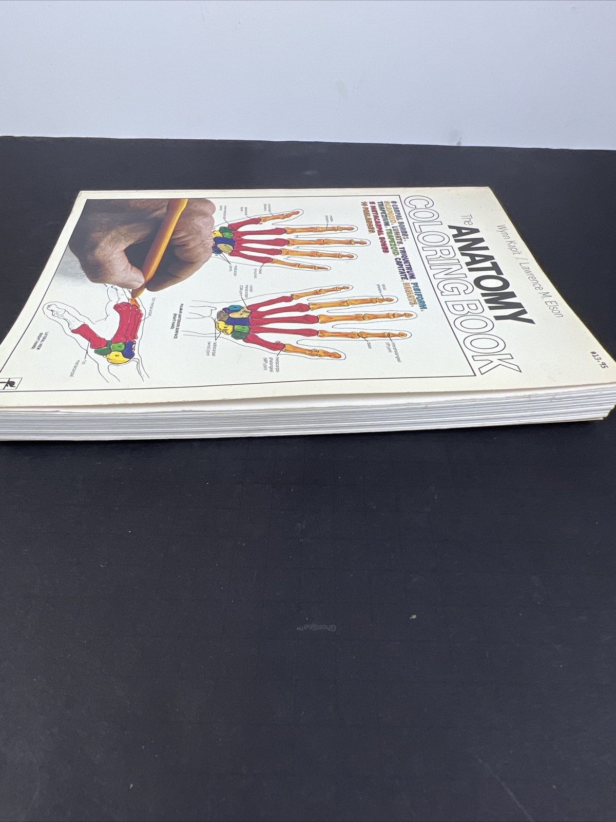 The Anatomy Coloring Book – Paperback By Kapit, Wynn 1977 Unused